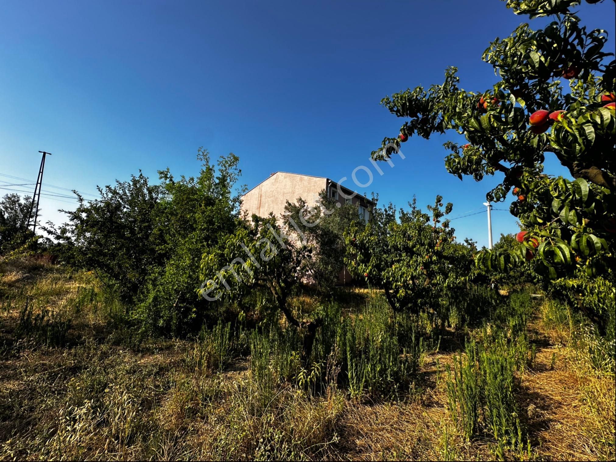 Çanakkale Lapseki Çardak Da Satılık İmarlı Arsa - Görsel 2