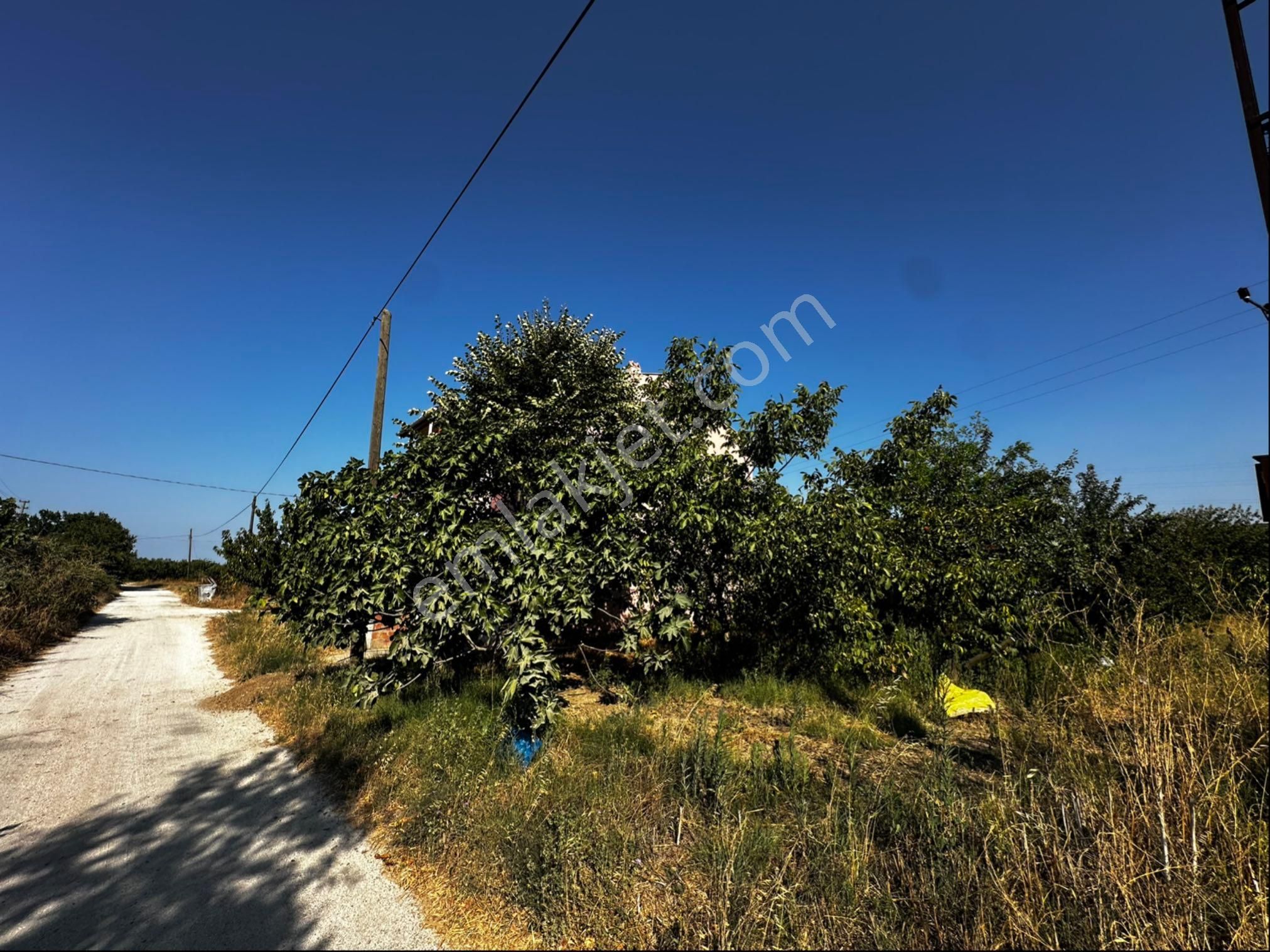 Çanakkale Lapseki Çardak Da Satılık İmarlı Arsa - Görsel 9