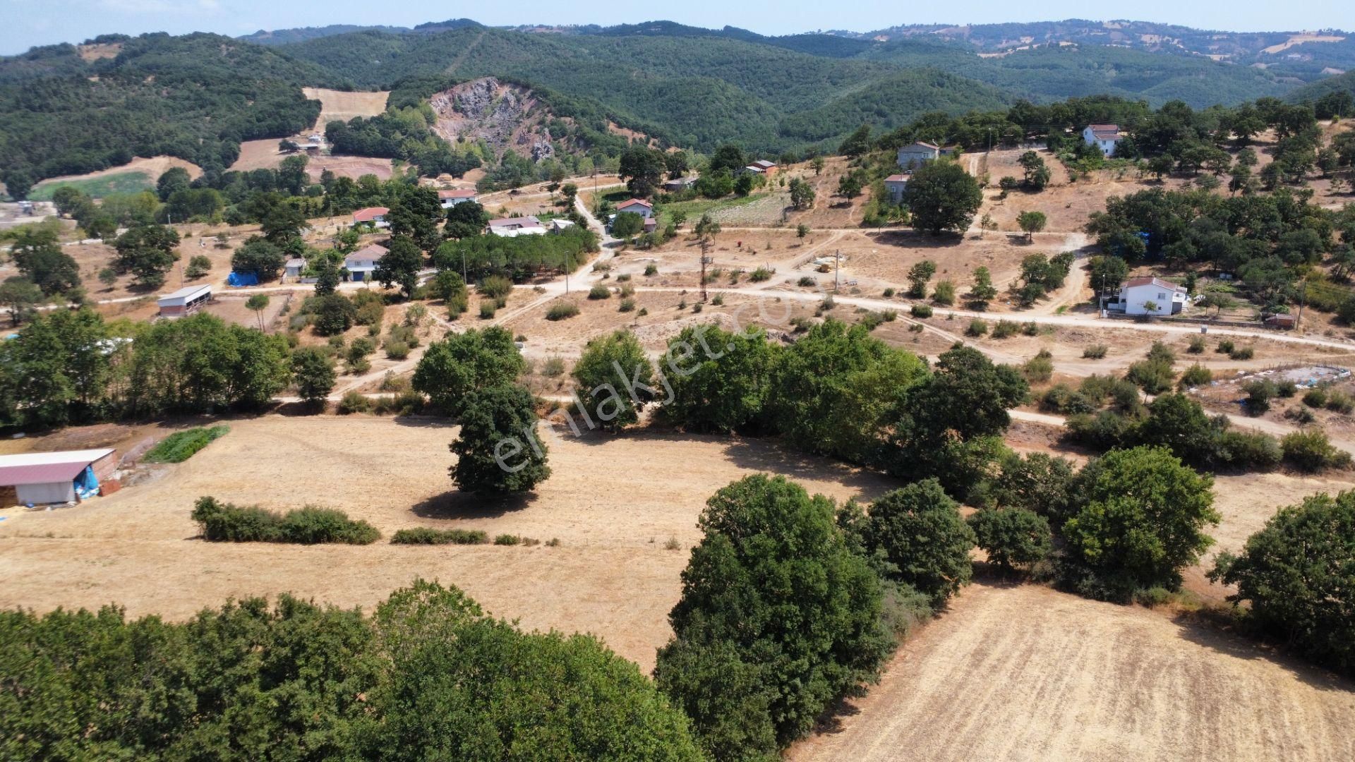 Biga Kapanbelen Köyünde 8250 M2 Satılık Tarla Han Emlak'tan - Görsel 11