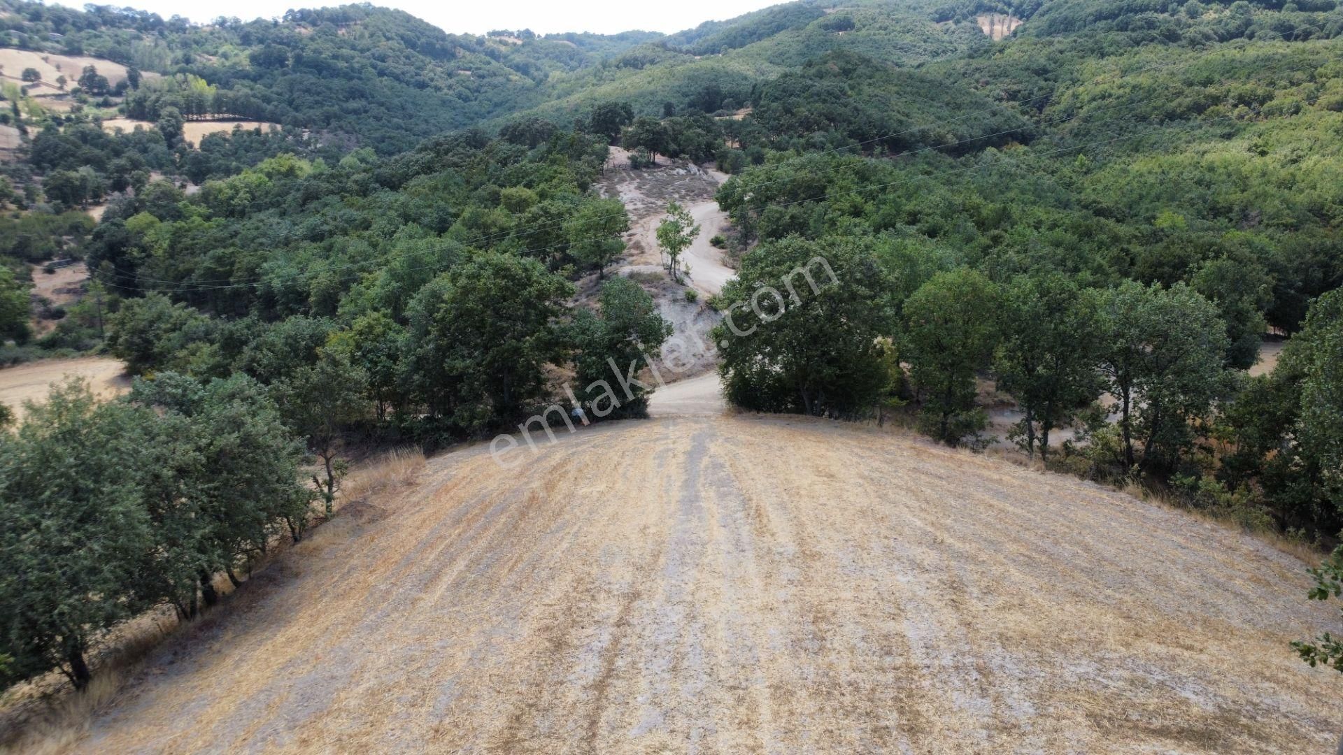 Biga Kapanbelen Köyünde 8250 M2 Satılık Tarla Han Emlak'tan - Görsel 20