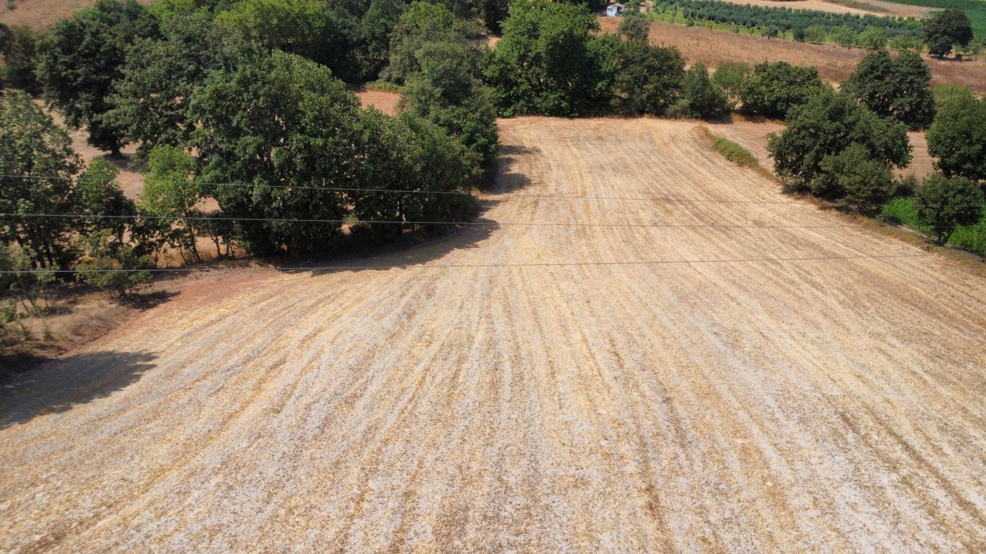 Biga Kapanbelen Köyünde 8250 M2 Satılık Tarla Han Emlak'tan - Görsel 4