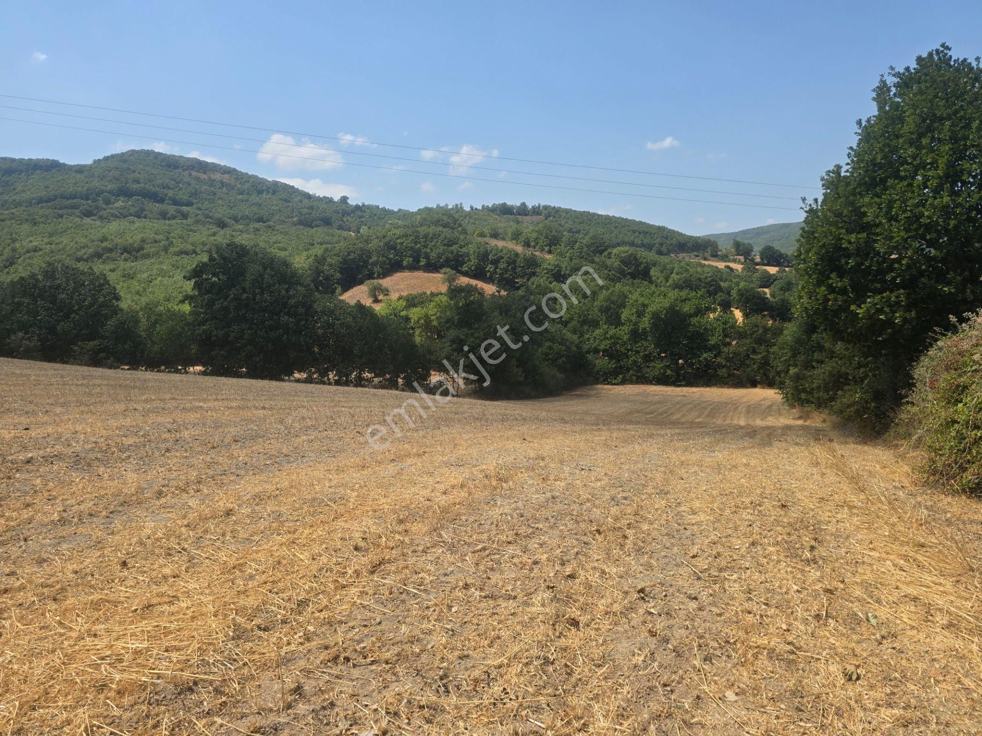 Biga Kapanbelen Köyünde 8250 M2 Satılık Tarla Han Emlak'tan - Görsel 27