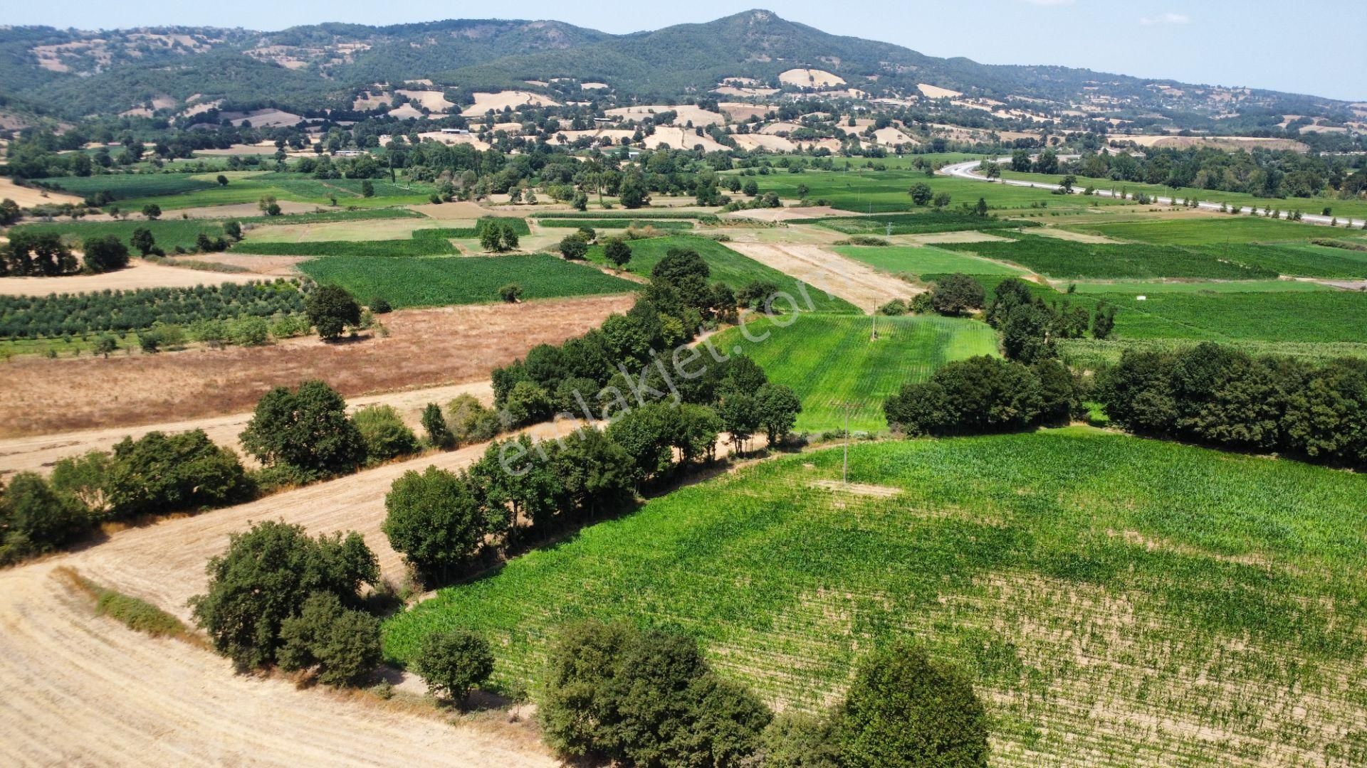 Biga Kapanbelen Köyünde 8250 M2 Satılık Tarla Han Emlak'tan - Görsel 13