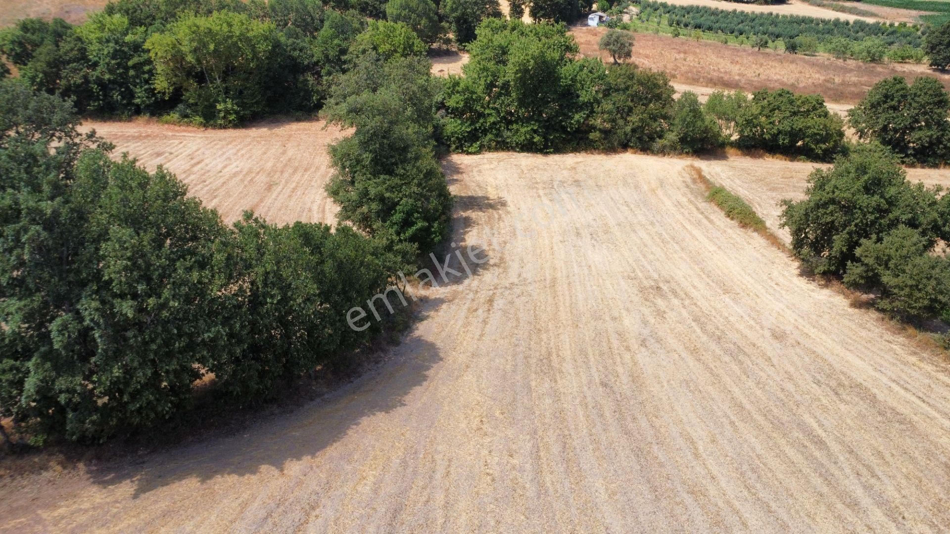 Biga Kapanbelen Köyünde 8250 M2 Satılık Tarla Han Emlak'tan - Görsel 5