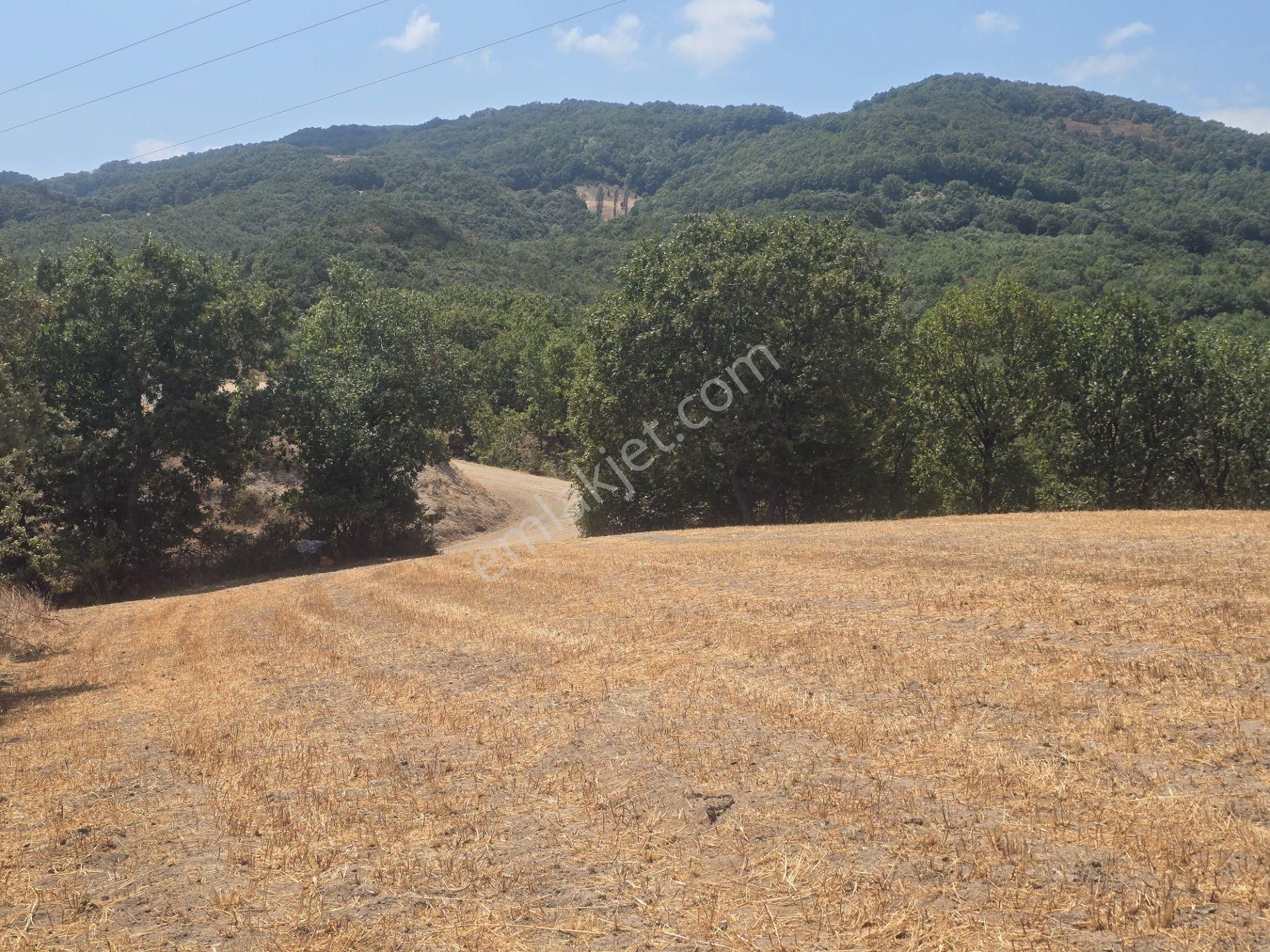 Biga Kapanbelen Köyünde 8250 M2 Satılık Tarla Han Emlak'tan - Görsel 31