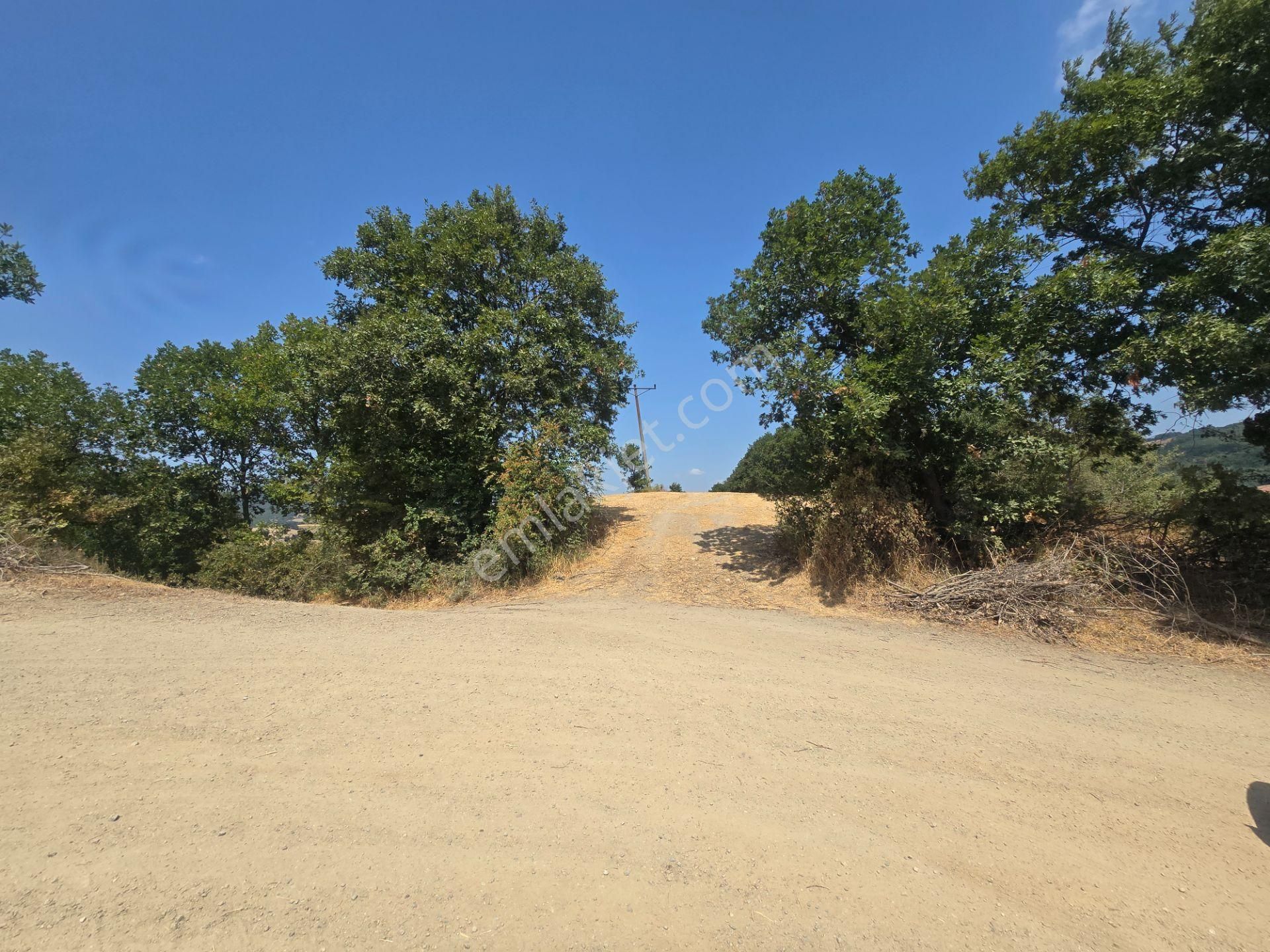 Biga Kapanbelen Köyünde 8250 M2 Satılık Tarla Han Emlak'tan - Görsel 35