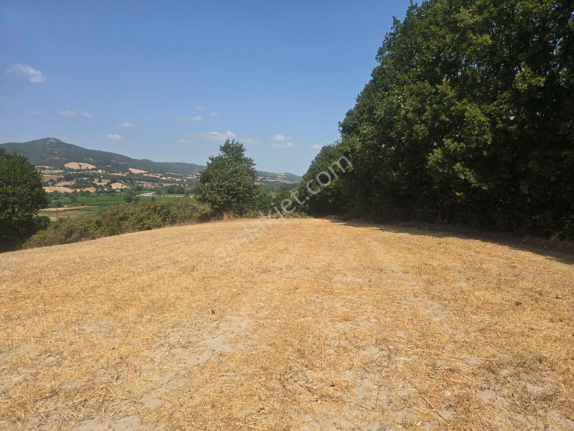 Biga Kapanbelen Köyünde 8250 M2 Satılık Tarla Han Emlak'tan - Görsel 24