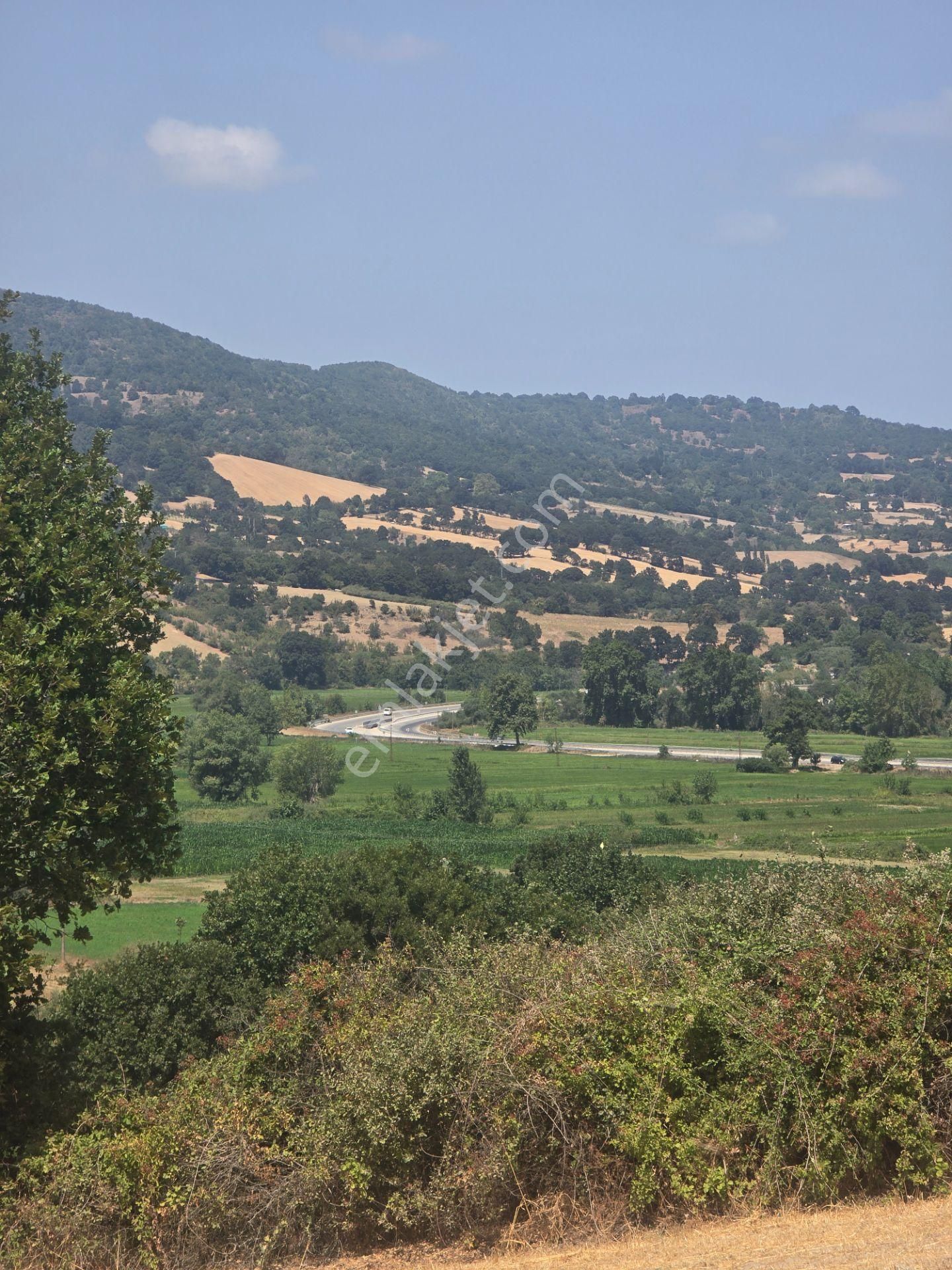 Biga Kapanbelen Köyünde 8250 M2 Satılık Tarla Han Emlak'tan - Görsel 28