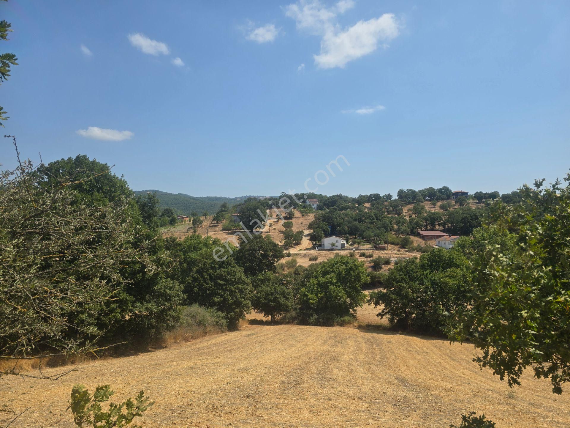 Biga Kapanbelen Köyünde 8250 M2 Satılık Tarla Han Emlak'tan - Görsel 30