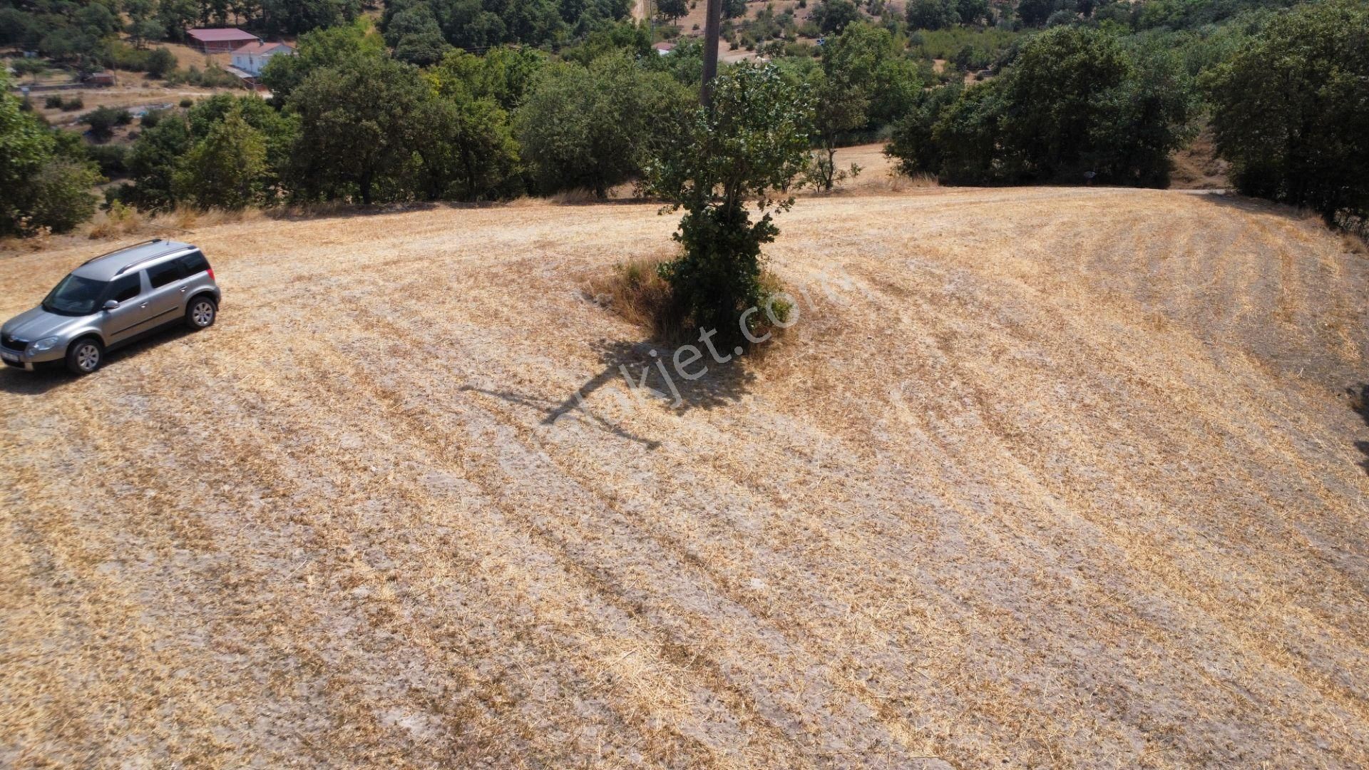 Biga Kapanbelen Köyünde 8250 M2 Satılık Tarla Han Emlak'tan - Görsel 7