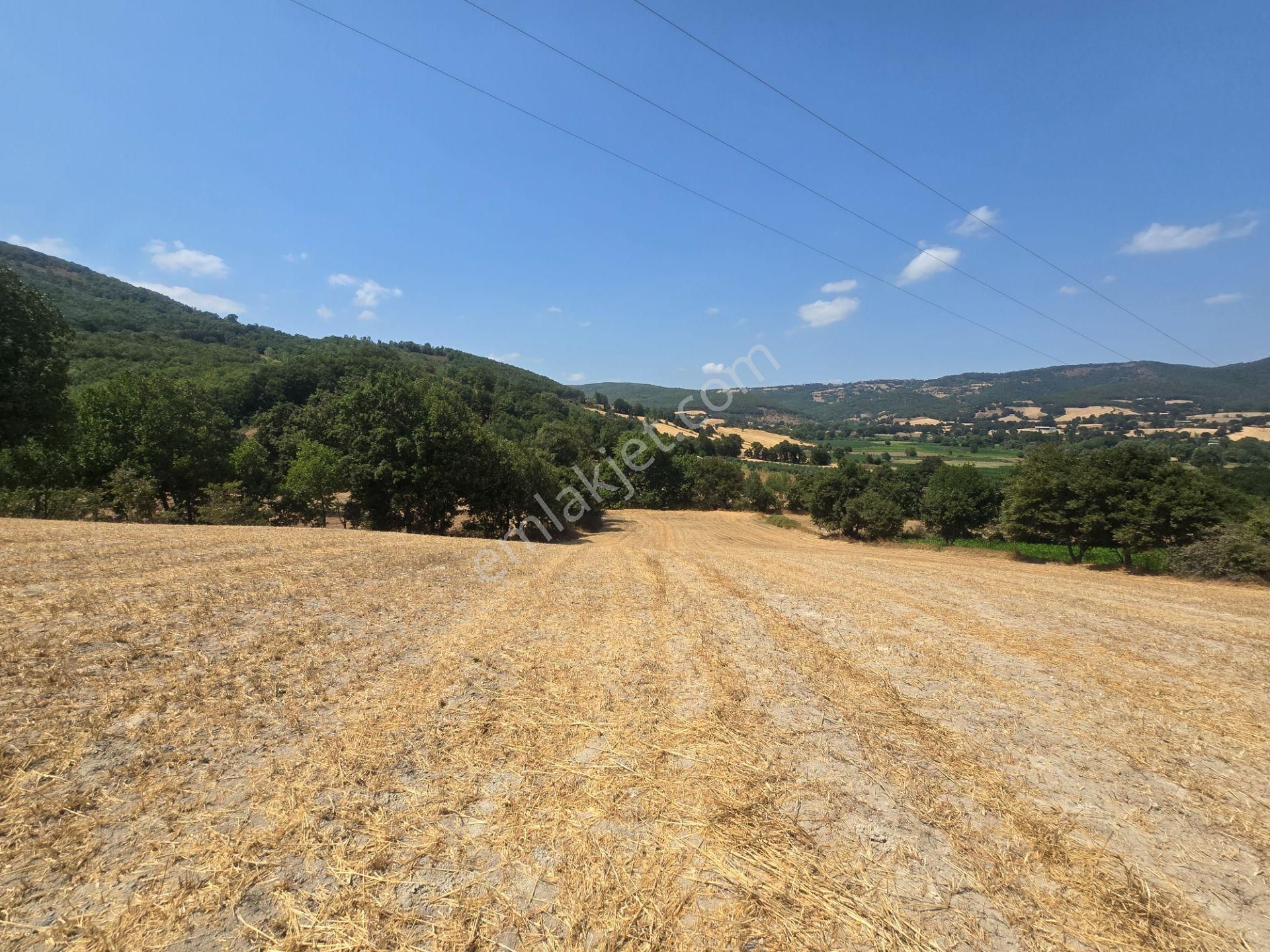 Biga Kapanbelen Köyünde 8250 M2 Satılık Tarla Han Emlak'tan - Görsel 33