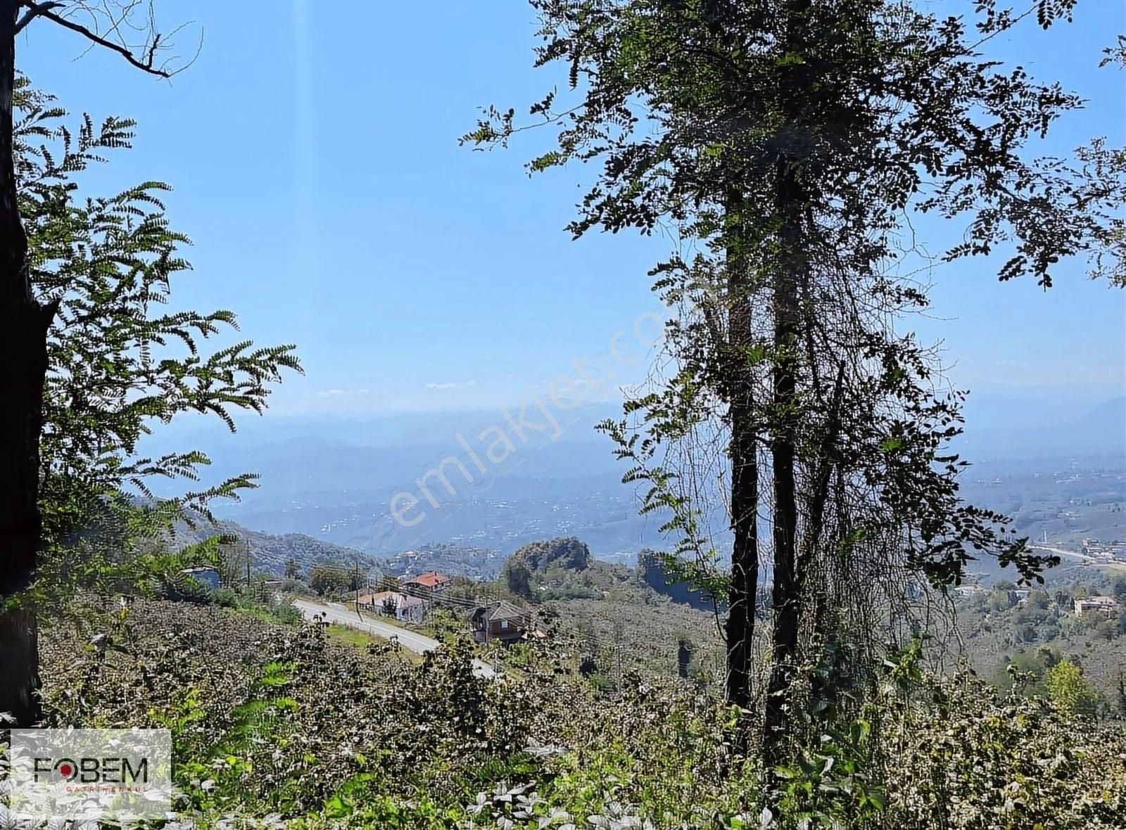 Ordu Bortepede Satılık Arsa