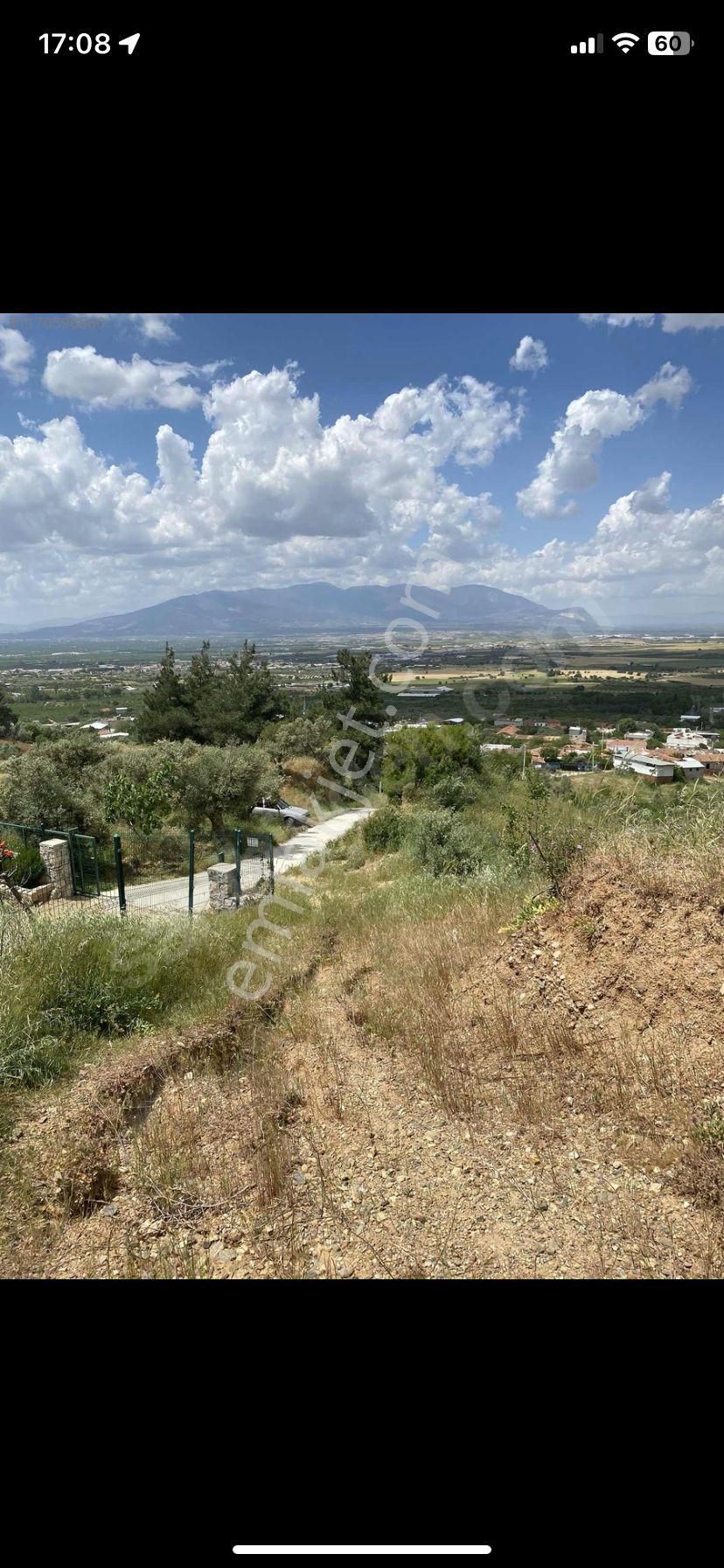 Kemalpaşa Gökçeyurt Köyünde Satılık Zeytinlik