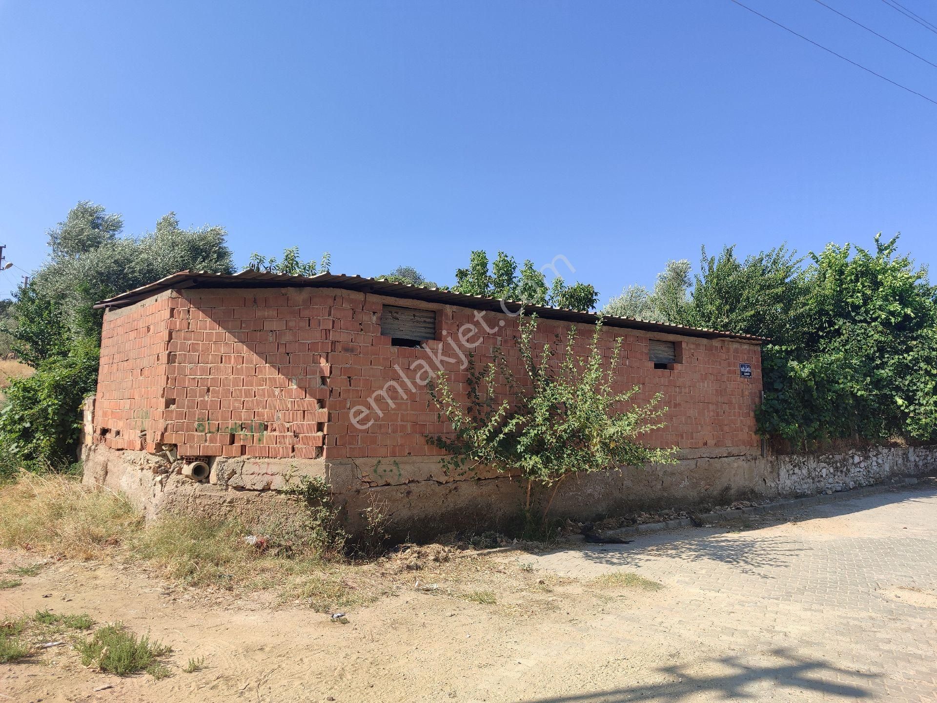 Sb Emlak Ofisinden Eskioba Mah. Köyiçi Arsa