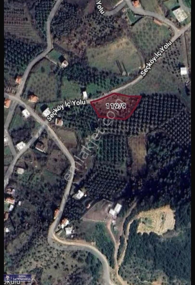 Deha'dan Seçköyde ,yatırım Ve Hobi Bahçesi İçin Uygun Araziler - Görsel 7