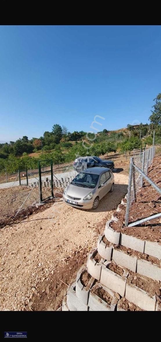 Deha'dan Seçköyde ,yatırım Ve Hobi Bahçesi İçin Uygun Araziler - Görsel 5