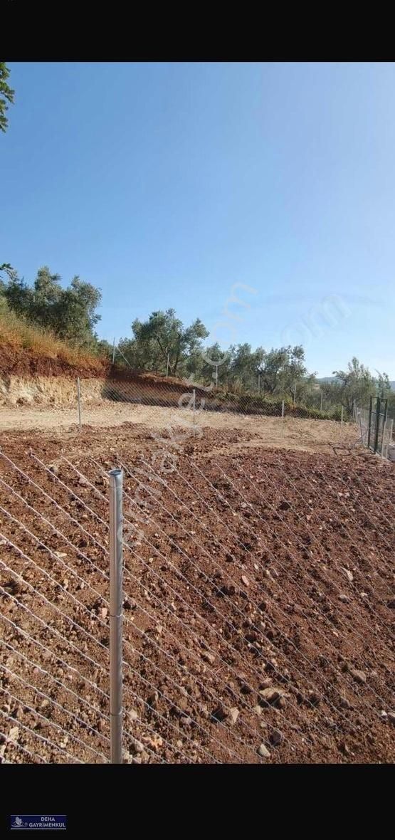 Deha'dan Seçköyde ,yatırım Ve Hobi Bahçesi İçin Uygun Araziler - Görsel 6