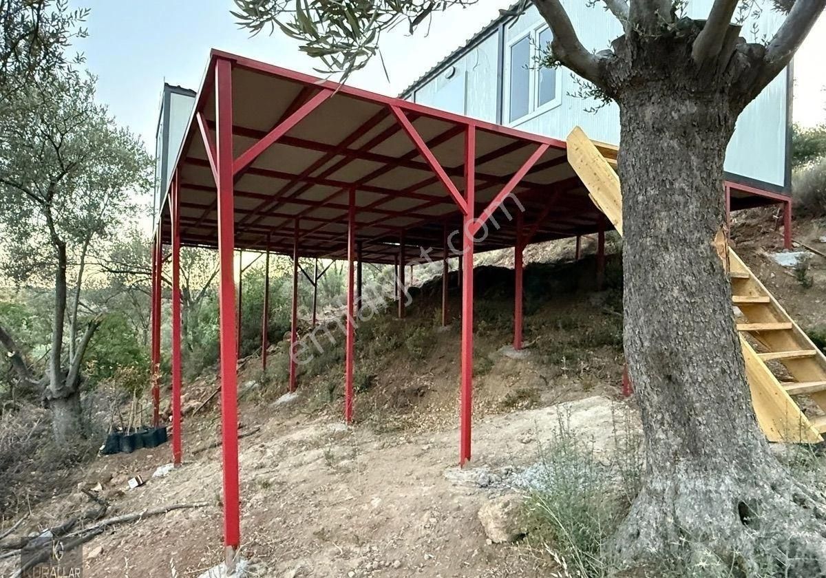 Kuyualan Mahallesinde Köy Yerleşkesinde Zeytinlik - Görsel 28