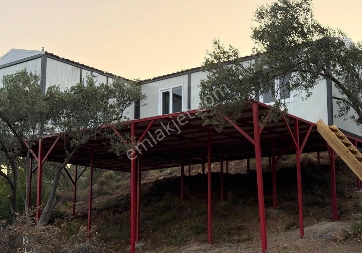 Kuyualan Mahallesinde Köy Yerleşkesinde Zeytinlik