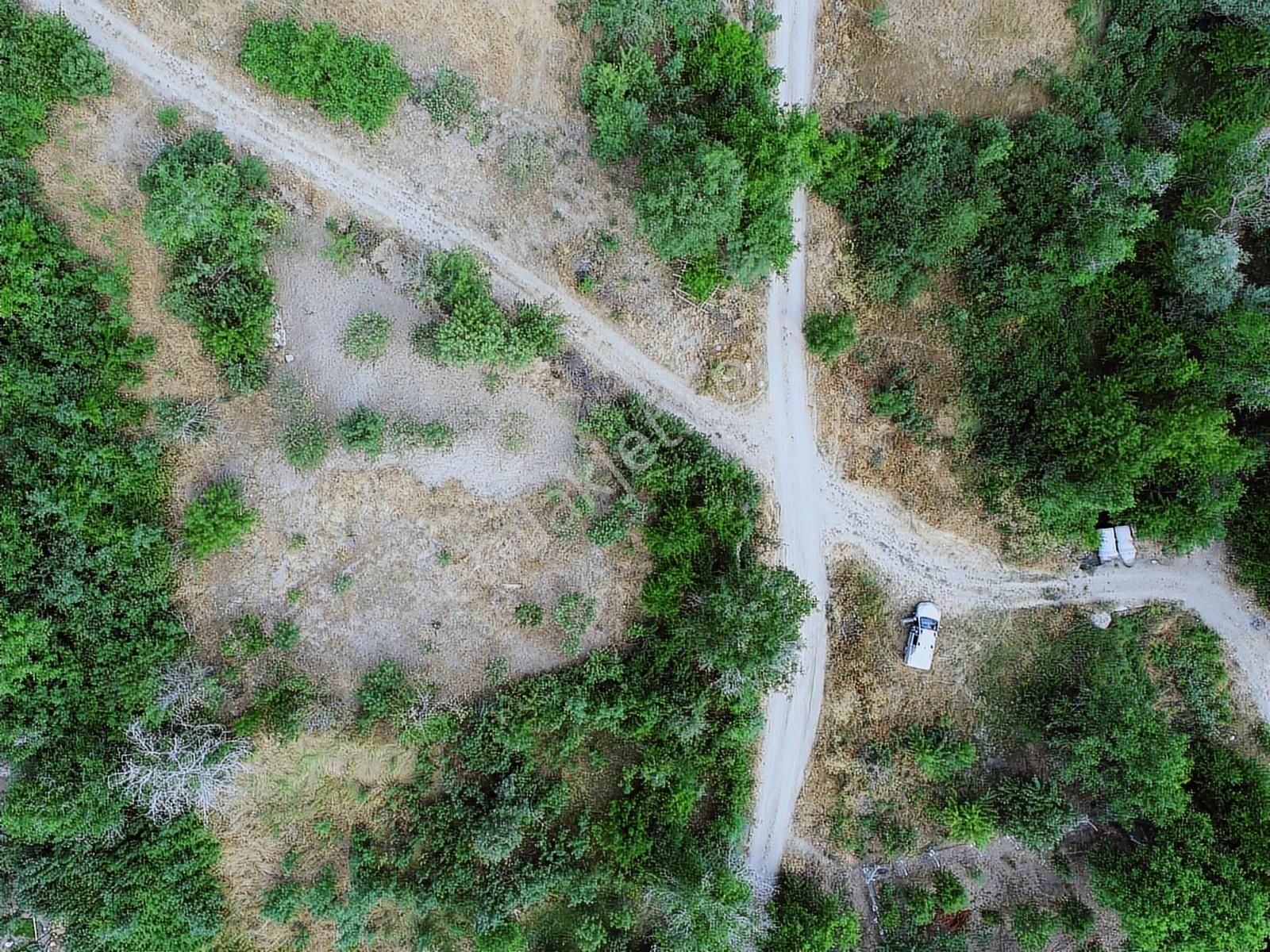 Botsada Yeşillik İçerinde Suyu Olan Bahçe - Görsel 15