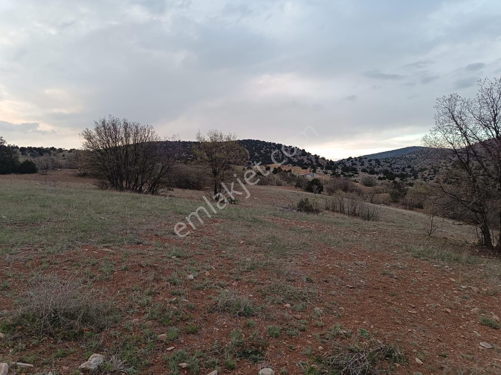 Karadiğinde Yeşillik İçerisinde Dere Yakını 10800 M² - Görsel 12