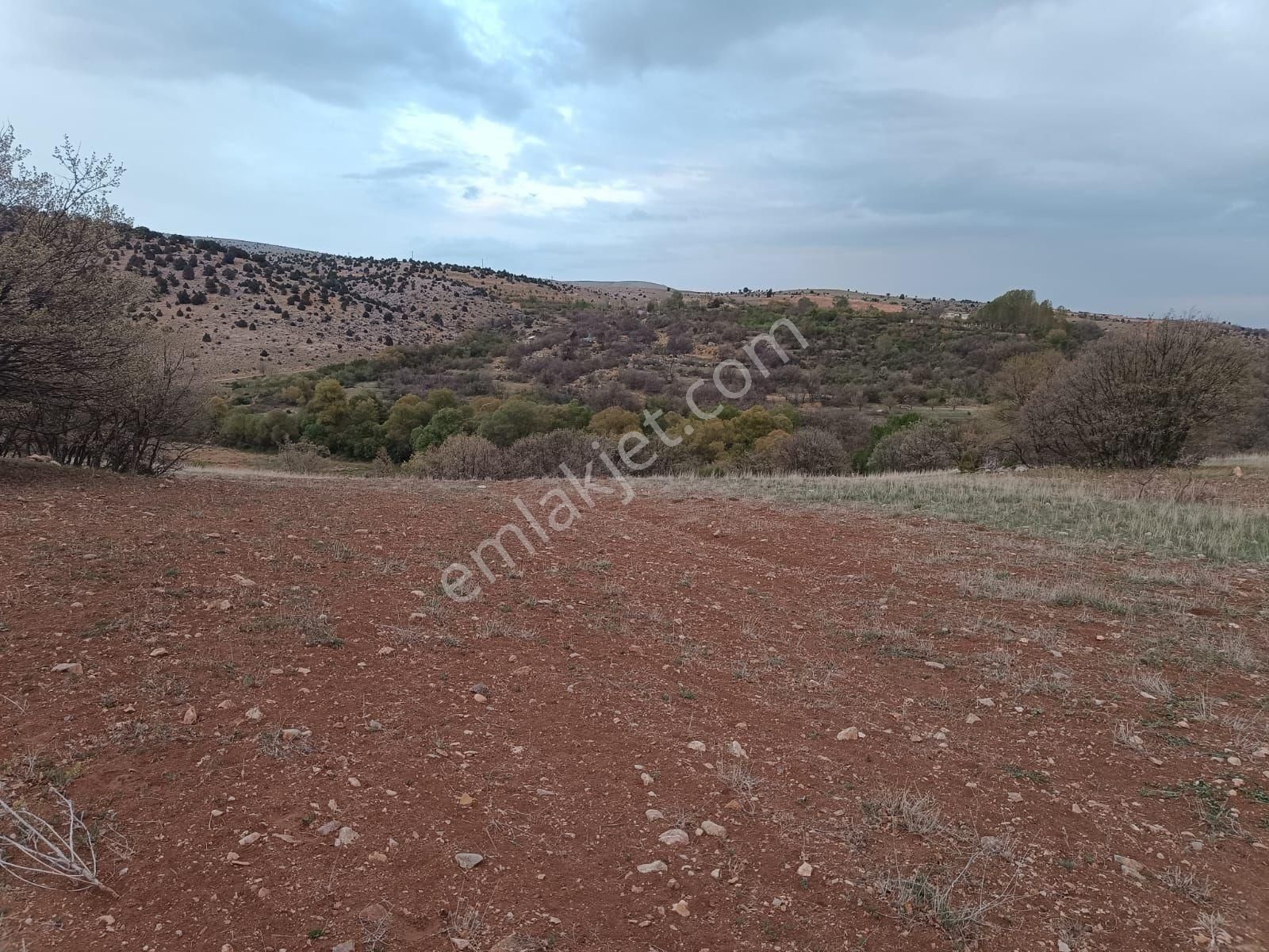Karadiğinde Yeşillik İçerisinde Dere Yakını 10800 M² - Görsel 6