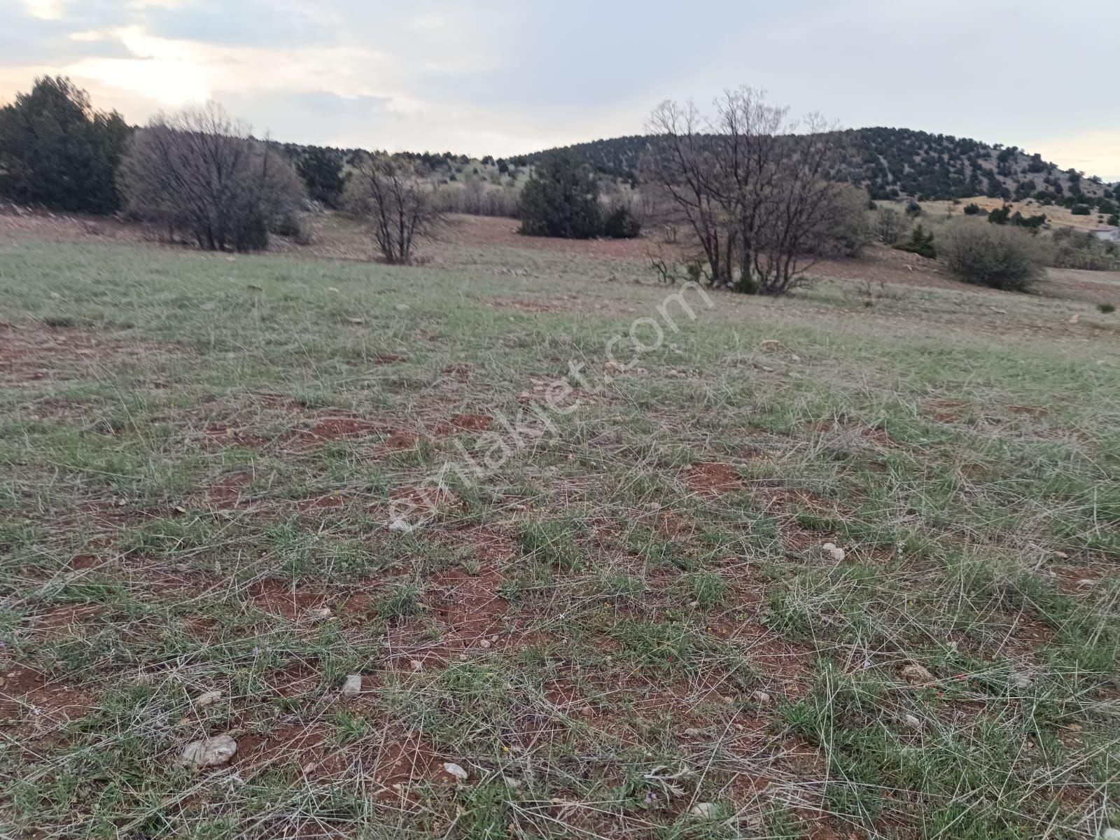 Karadiğinde Yeşillik İçerisinde Dere Yakını 10800 M² - Görsel 10