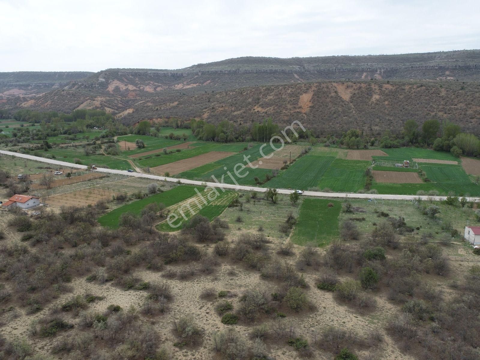 Kilistrada Asfalt Cephe Bahçe 884 M² - Görsel 3