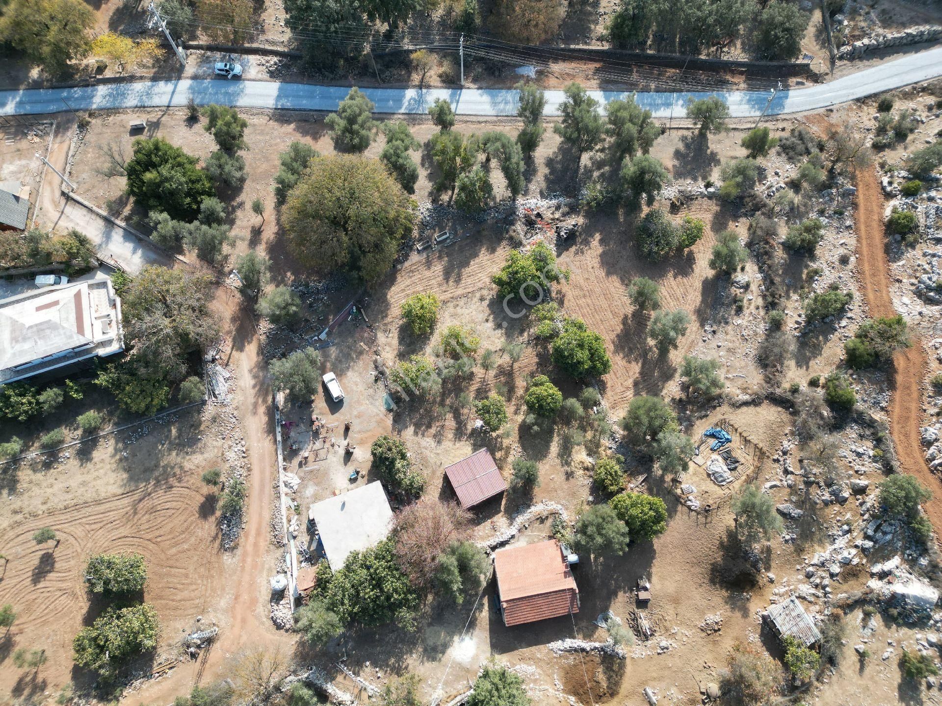 Joker: Selimiye Yeni Yerleşim Alanında Evlere Komşu Satılık Tarla - Görsel 6