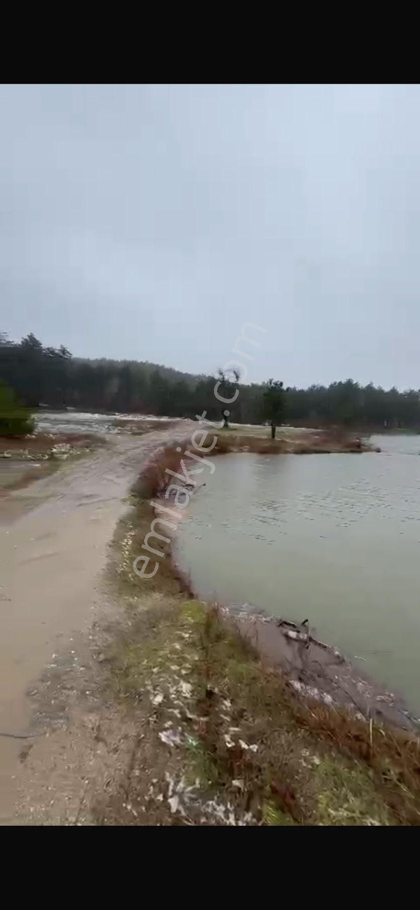 Çanakkale Yenice Satılık Göl Manzaralı 12.786 M2 Arazi - Görsel 7