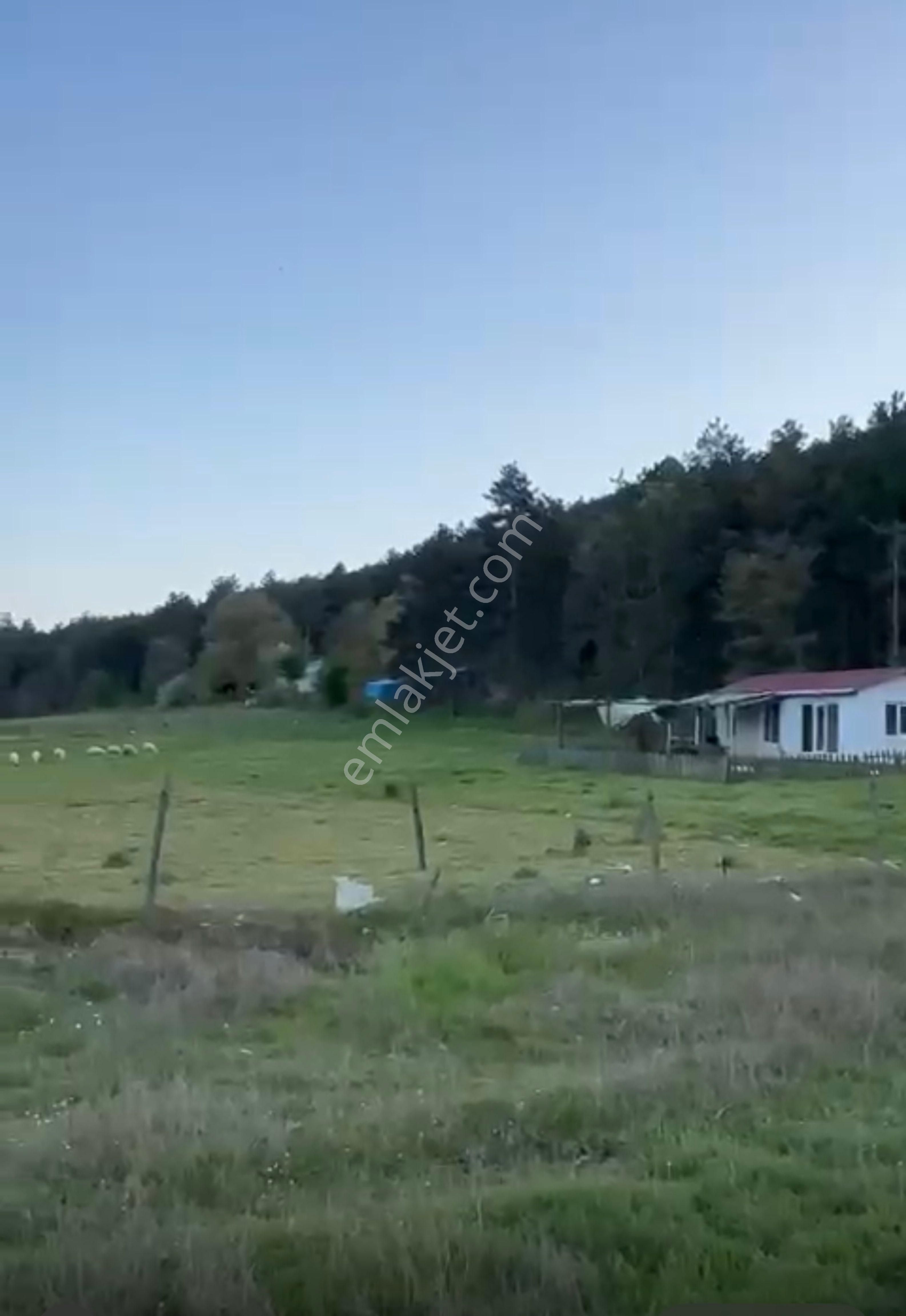 Çanakkale Yenice Satılık Göl Manzaralı 12.786 M2 Arazi - Görsel 5