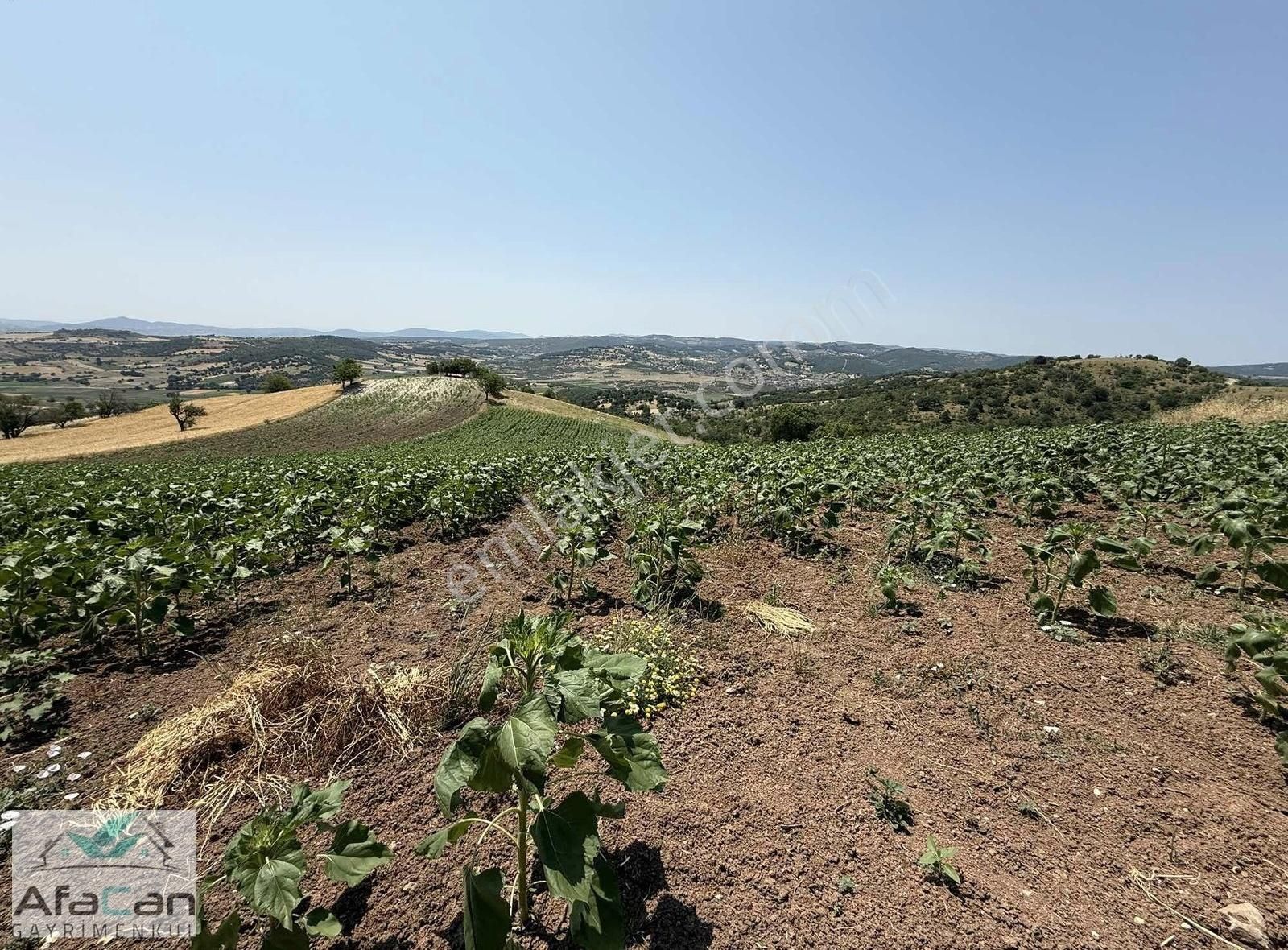 Balıkesir Sanayi Bölgesine Ve Köye Yakın Yatırımlık 9000m2 Arazi - Görsel 19