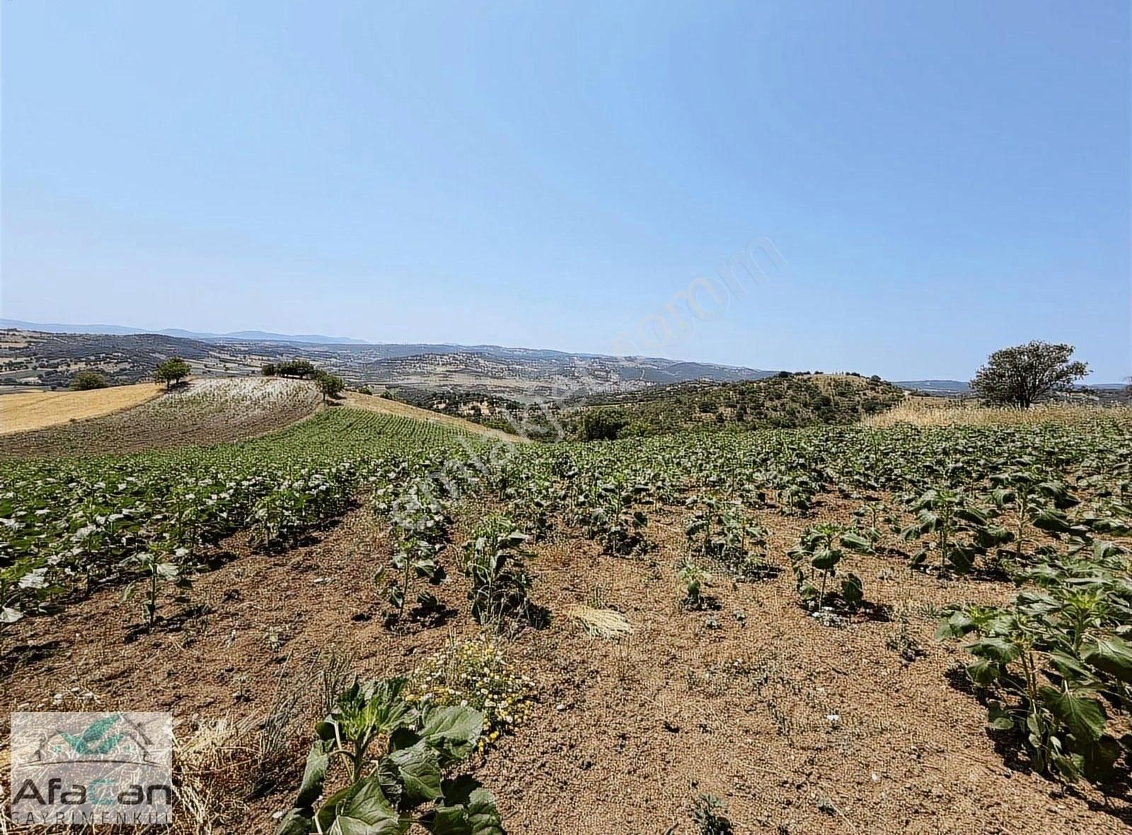Balıkesir Sanayi Bölgesine Ve Köye Yakın Yatırımlık 9000m2 Arazi - Görsel 18