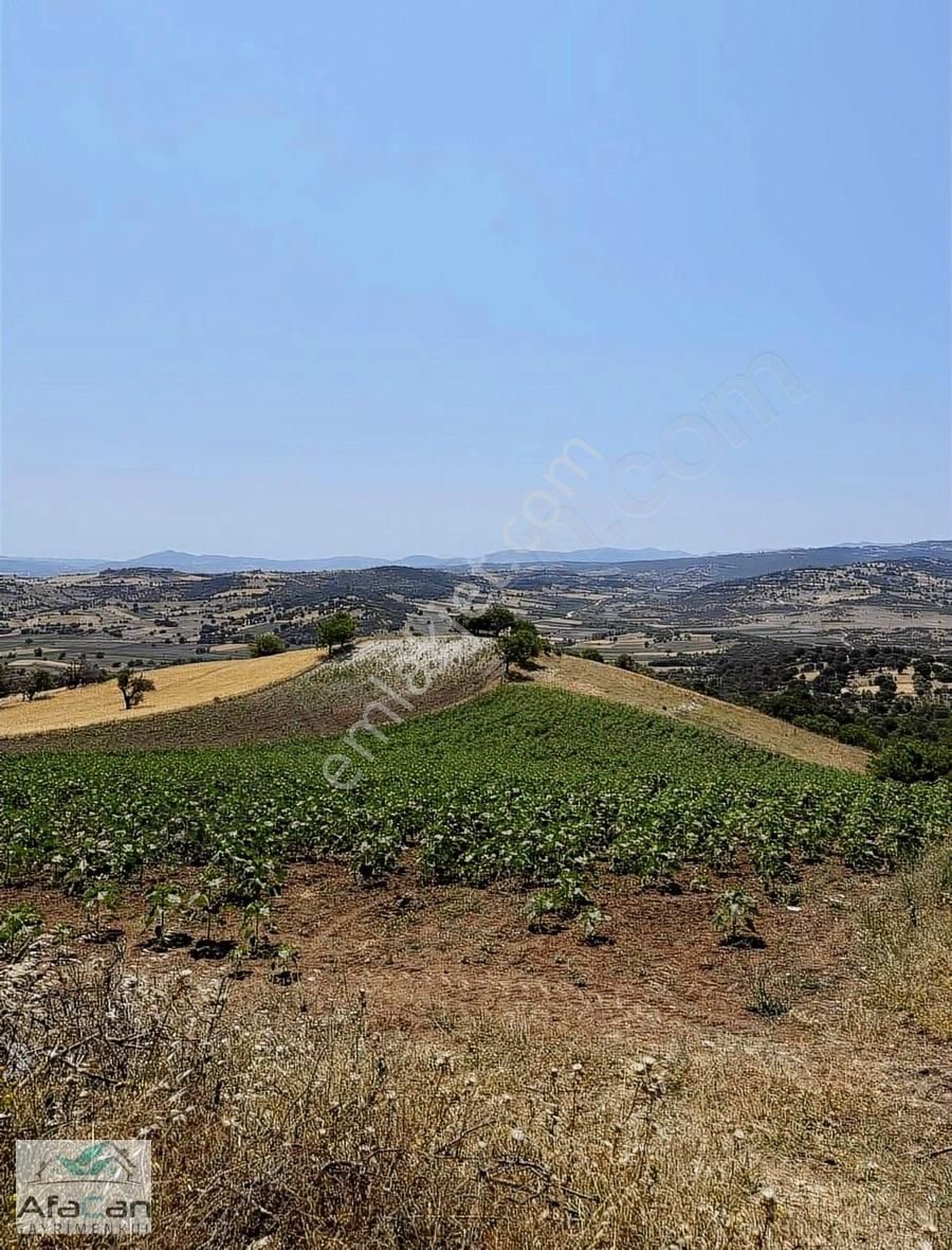 Balıkesir Sanayi Bölgesine Ve Köye Yakın Yatırımlık 9000m2 Arazi - Görsel 2