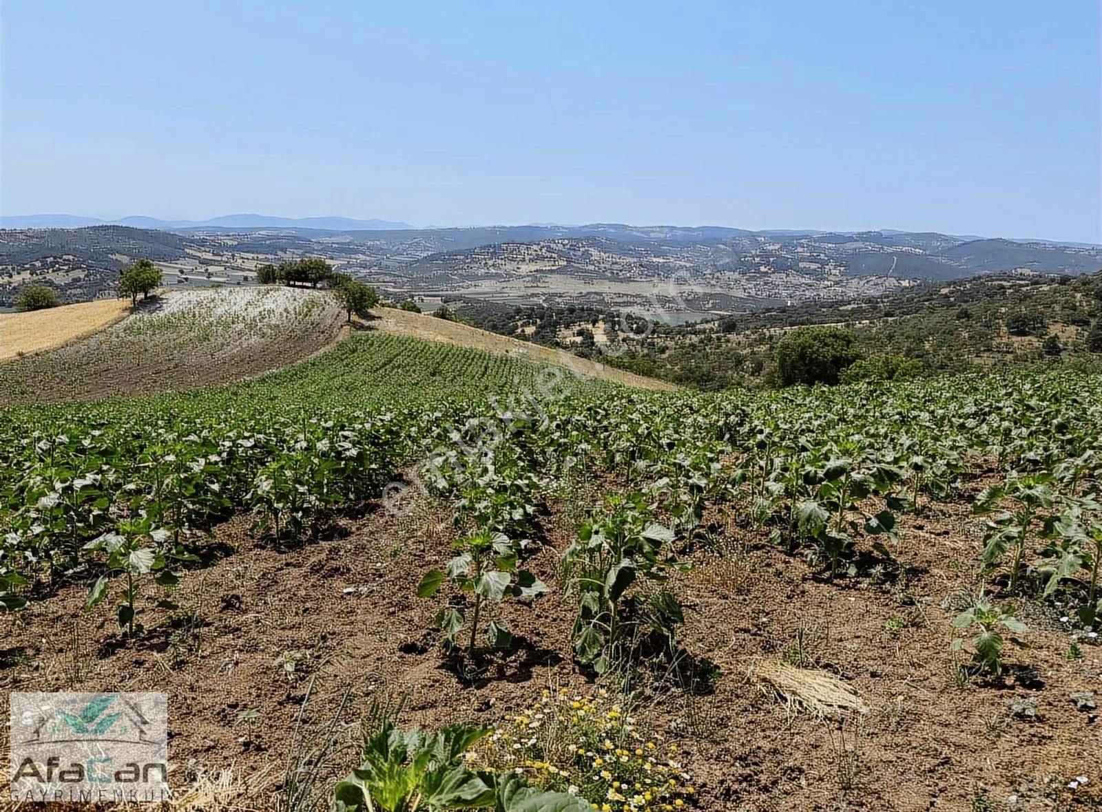 Balıkesir Sanayi Bölgesine Ve Köye Yakın Yatırımlık 9000m2 Arazi - Görsel 7