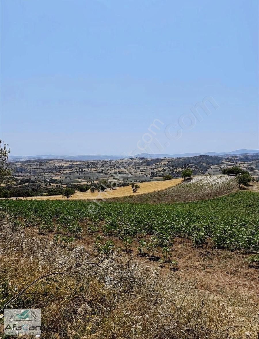 Balıkesir Sanayi Bölgesine Ve Köye Yakın Yatırımlık 9000m2 Arazi - Görsel 6