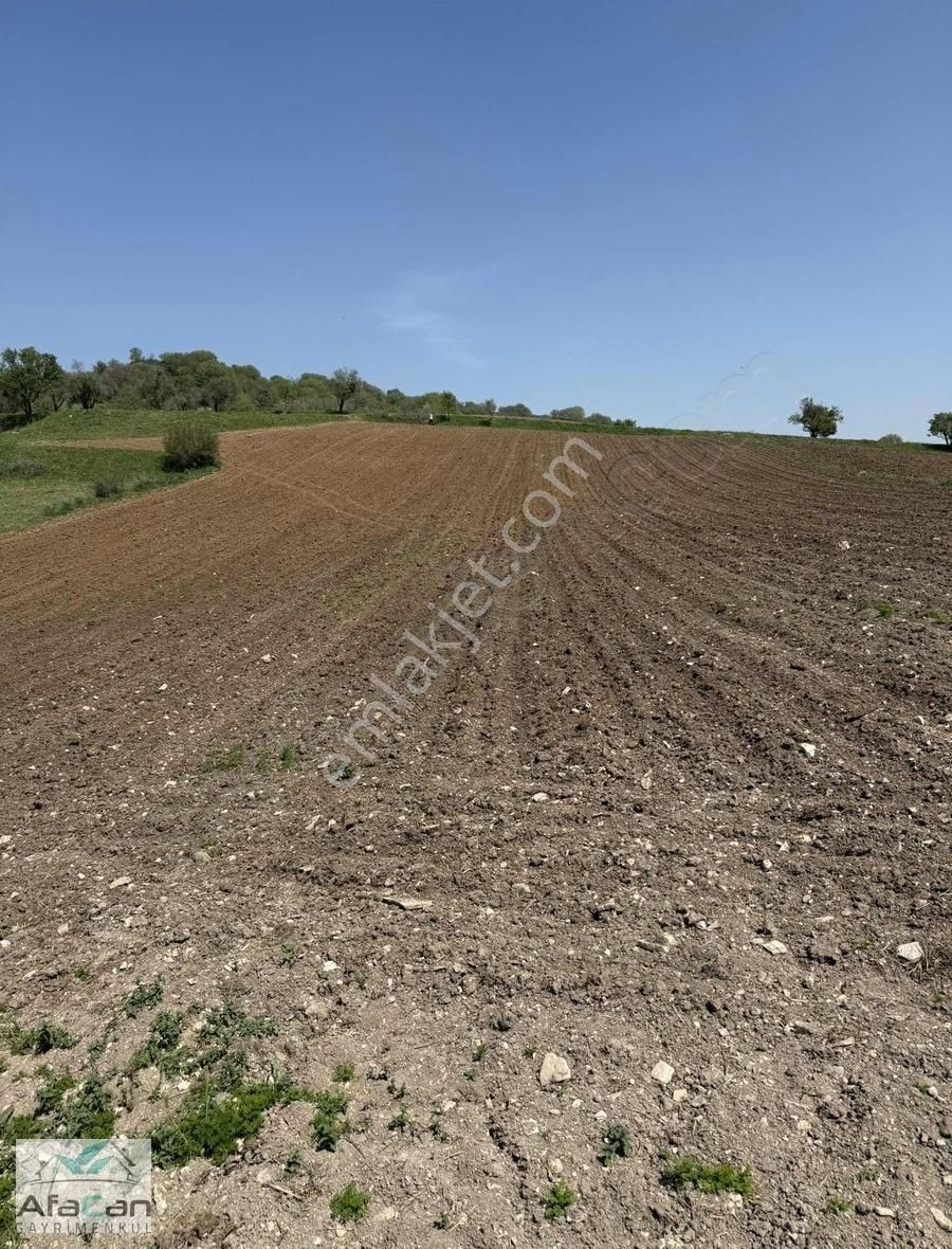 Balıkesir Sanayi Bölgesine Ve Köye Yakın Yatırımlık 9000m2 Arazi - Görsel 14