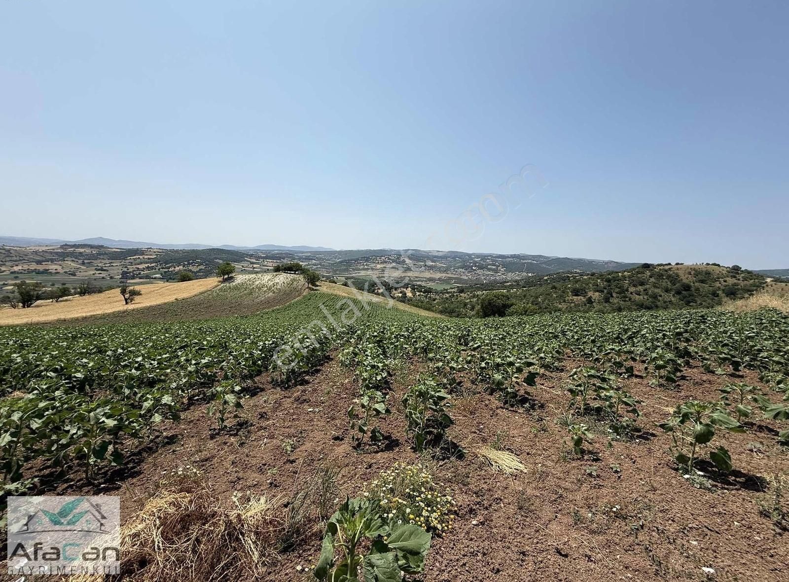 Balıkesir Sanayi Bölgesine Ve Köye Yakın Yatırımlık 9000m2 Arazi - Görsel 34