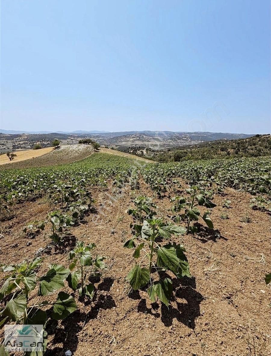 Balıkesir Sanayi Bölgesine Ve Köye Yakın Yatırımlık 9000m2 Arazi - Görsel 35