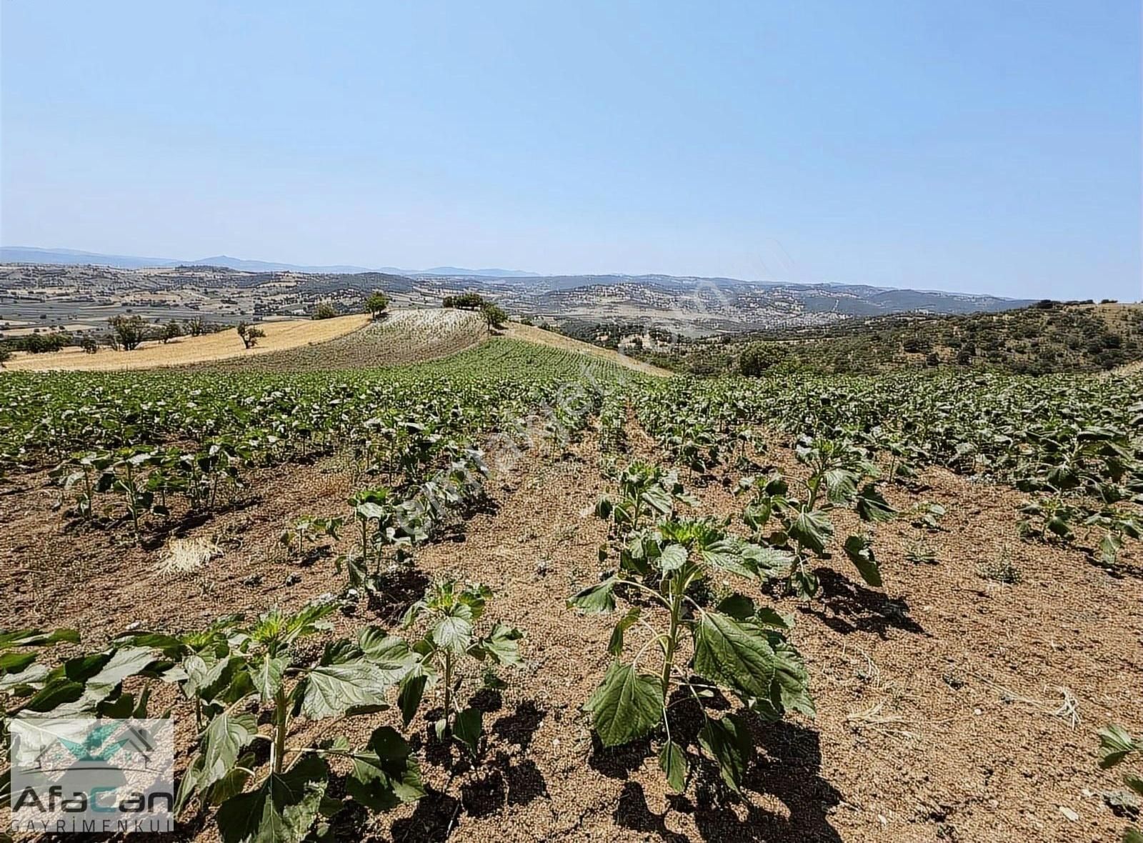 Balıkesir Sanayi Bölgesine Ve Köye Yakın Yatırımlık 9000m2 Arazi - Görsel 15
