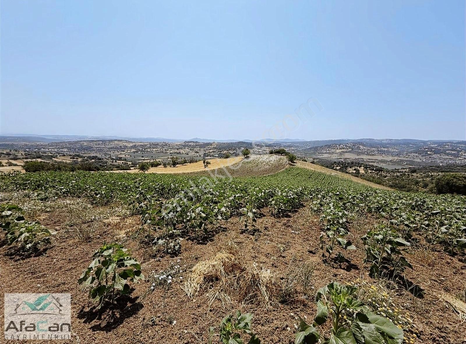 Balıkesir Sanayi Bölgesine Ve Köye Yakın Yatırımlık 9000m2 Arazi - Görsel 8