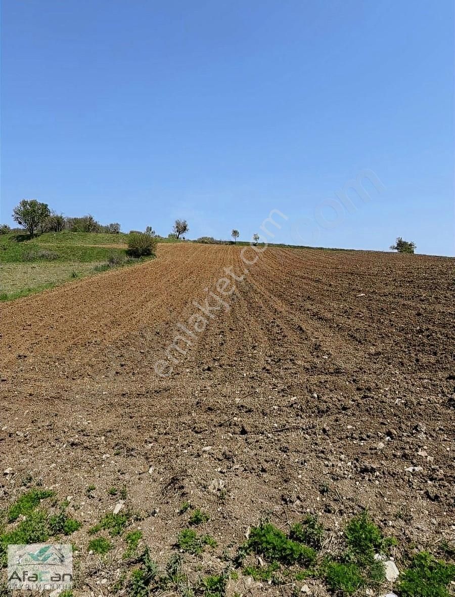 Balıkesir Sanayi Bölgesine Ve Köye Yakın Yatırımlık 9000m2 Arazi - Görsel 25