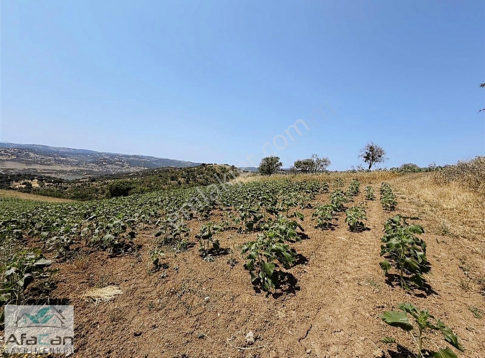 Balıkesir Sanayi Bölgesine Ve Köye Yakın Yatırımlık 9000m2 Arazi - Görsel 31