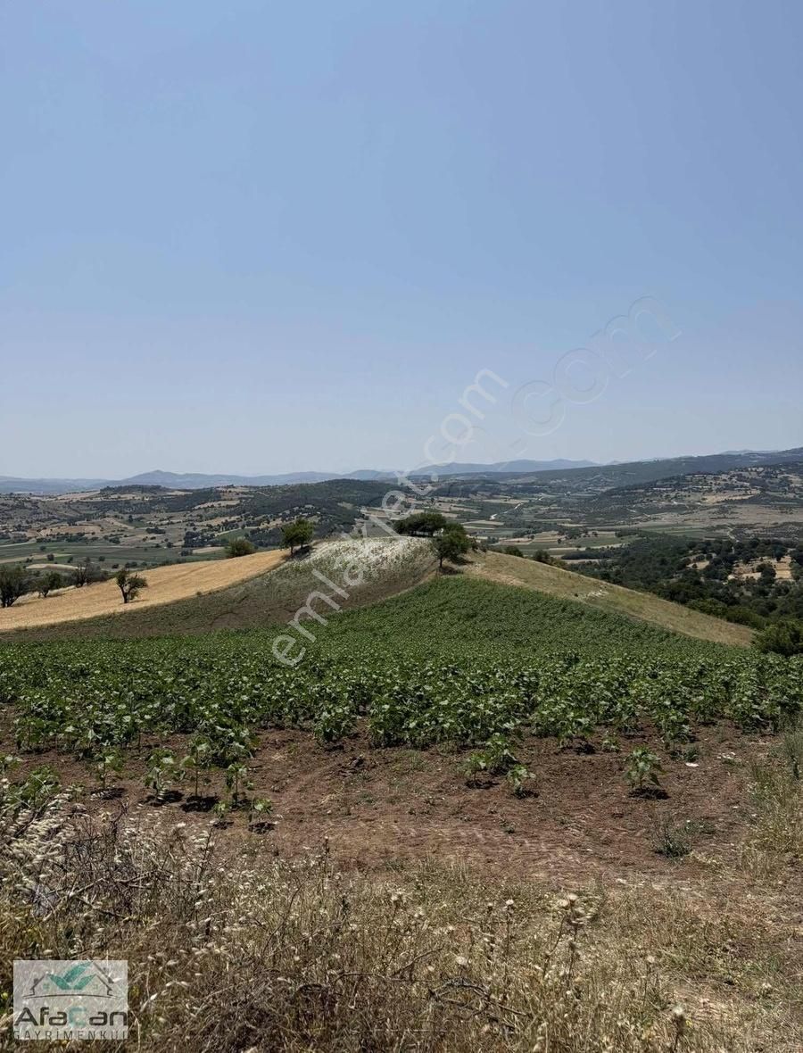 Balıkesir Sanayi Bölgesine Ve Köye Yakın Yatırımlık 9000m2 Arazi - Görsel 22