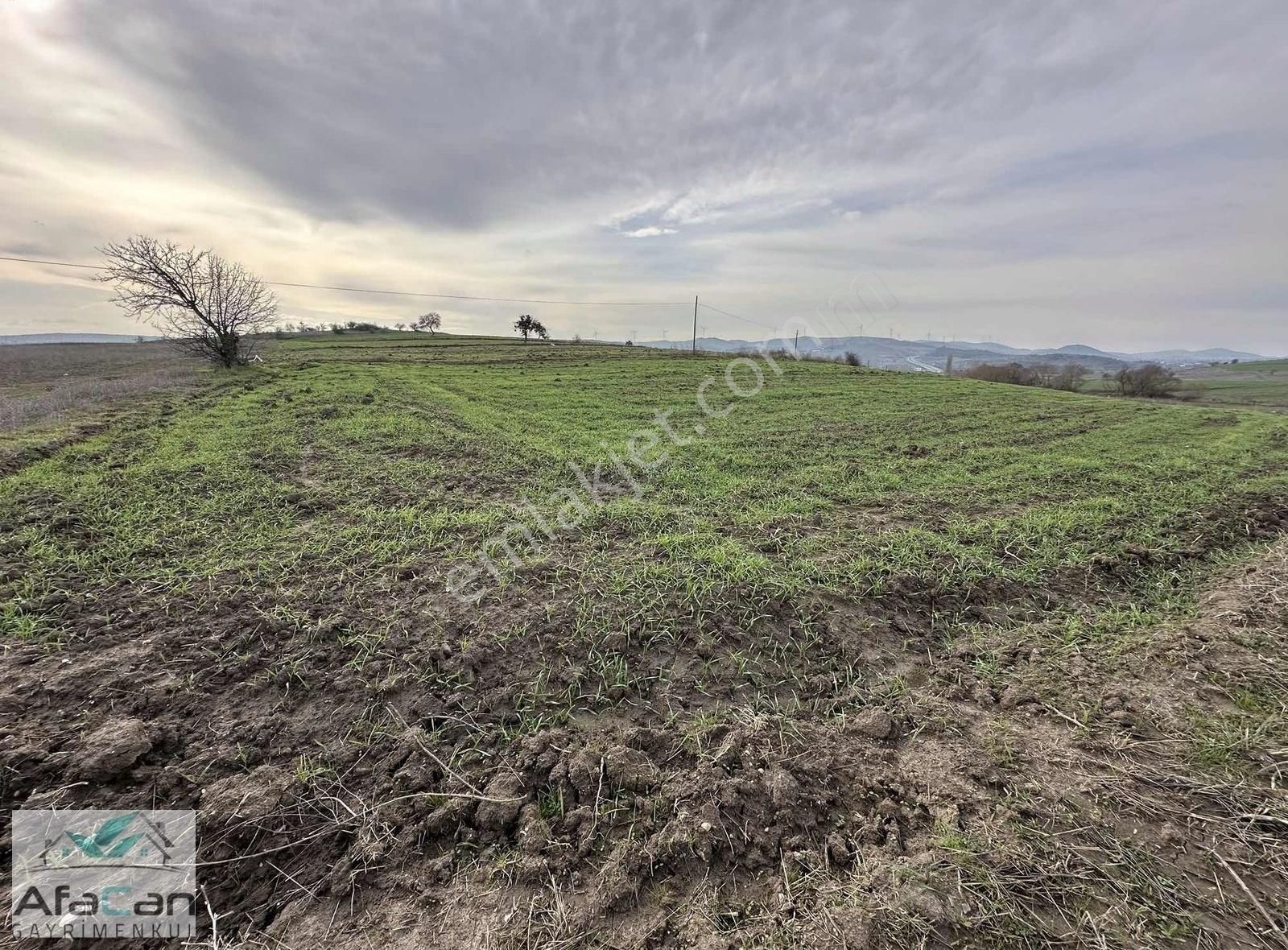 Asfalt Yola Cephe Elektrik Su Problemi Olmayan Harika Bahçe!!! - Görsel 9