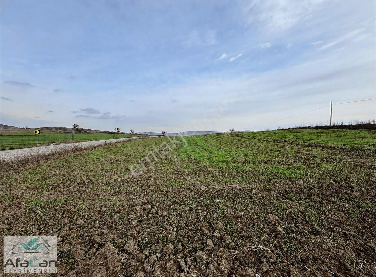 Asfalt Yola Cephe Elektrik Su Problemi Olmayan Harika Bahçe!!! - Görsel 11