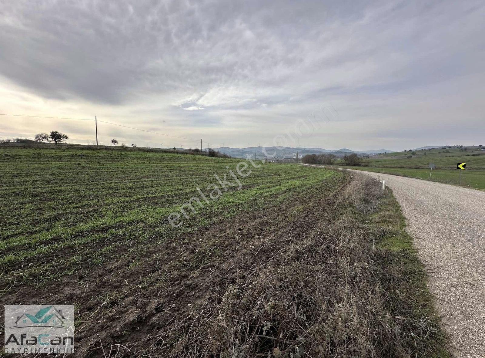 Asfalt Yola Cephe Elektrik Su Problemi Olmayan Harika Bahçe!!! - Görsel 10