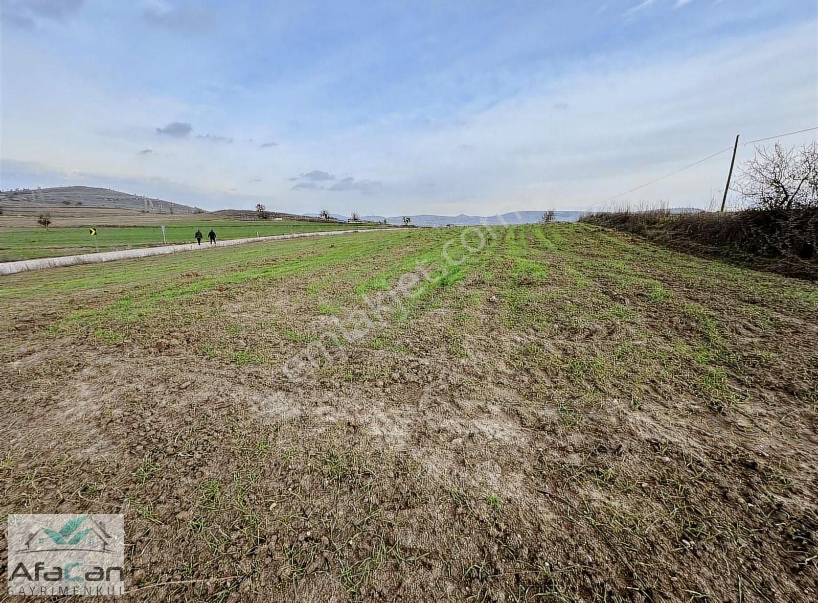 Asfalt Yola Cephe Elektrik Su Problemi Olmayan Harika Bahçe!!! - Görsel 24