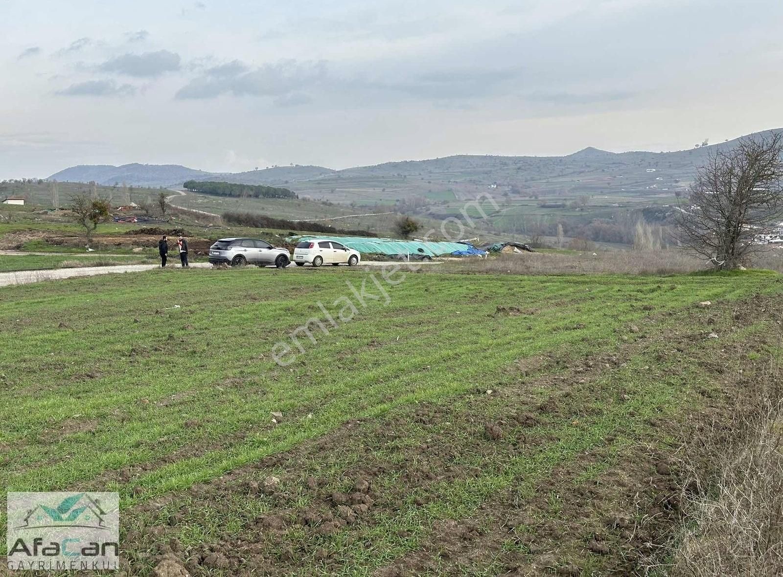 Asfalt Yola Cephe Elektrik Su Problemi Olmayan Harika Bahçe!!! - Görsel 12