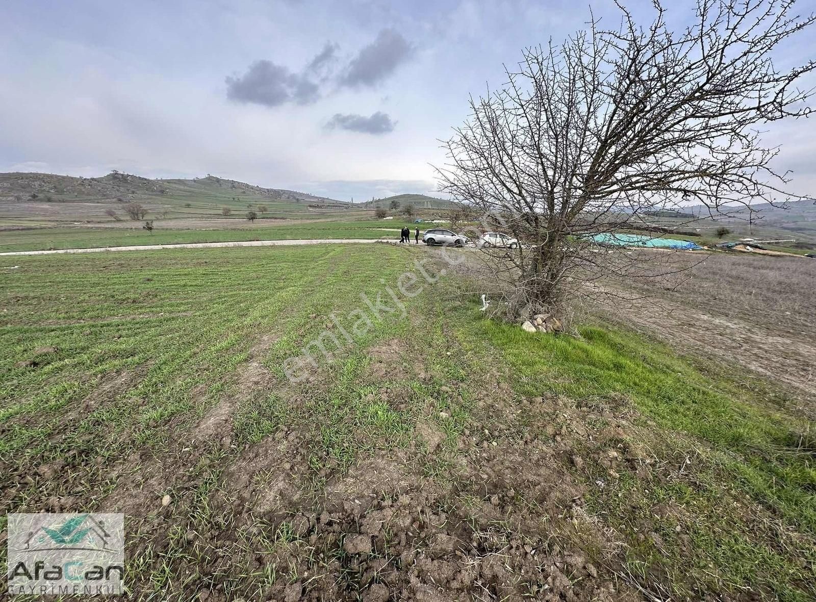 Asfalt Yola Cephe Elektrik Su Problemi Olmayan Harika Bahçe!!! - Görsel 2